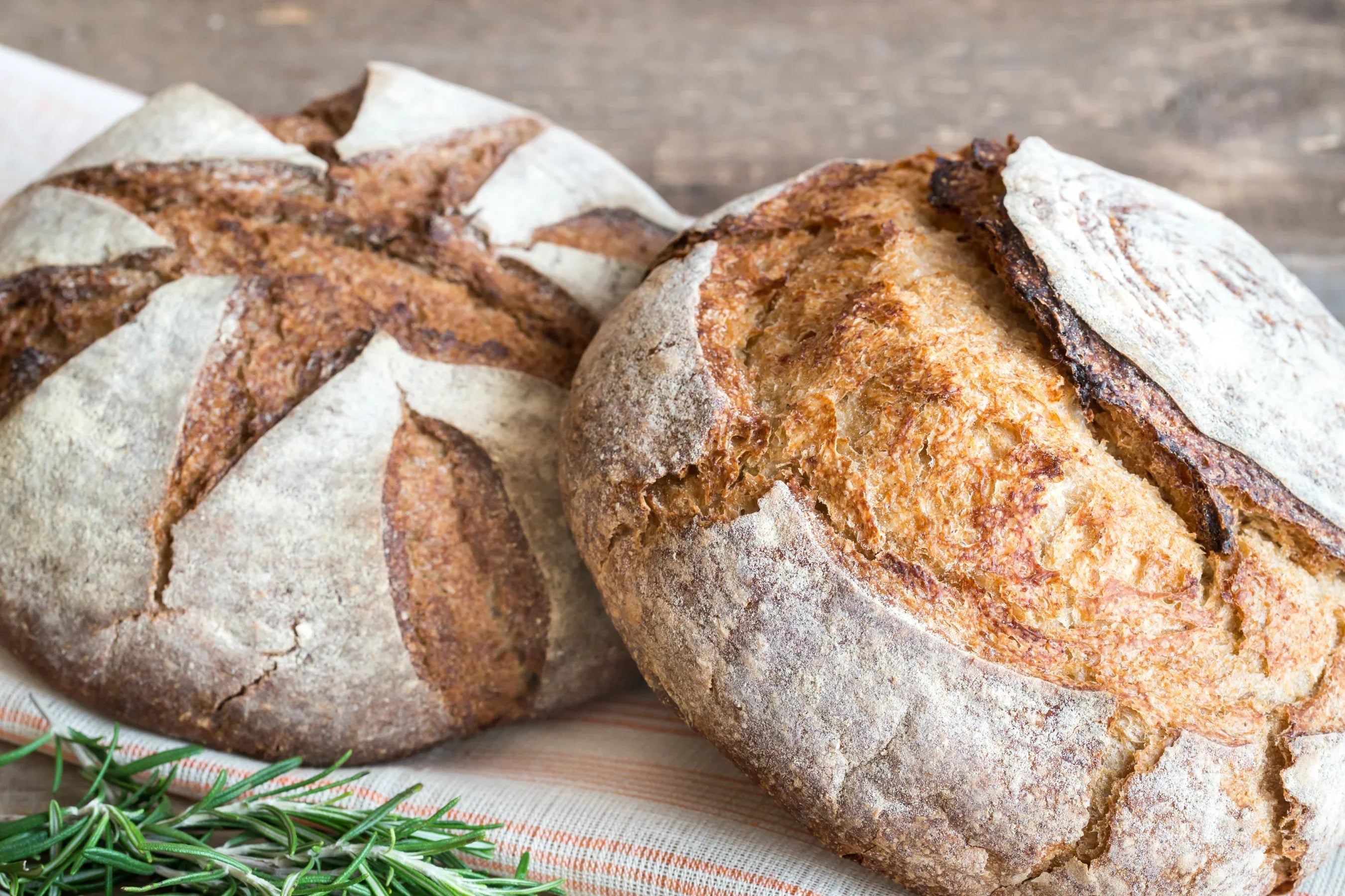 Artisan Sourdough Bread
