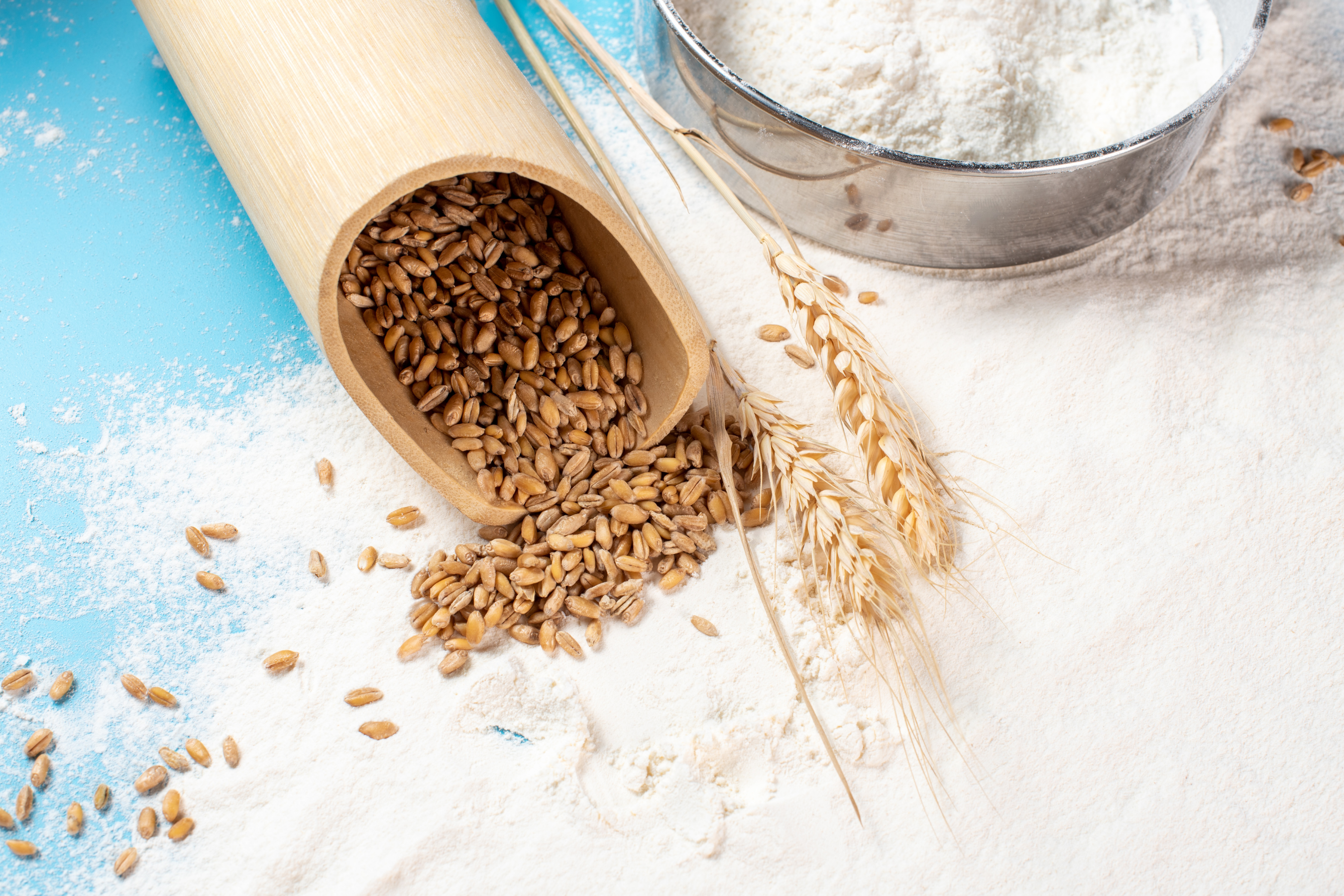 Red vs White Wheat: Which is Healthier?