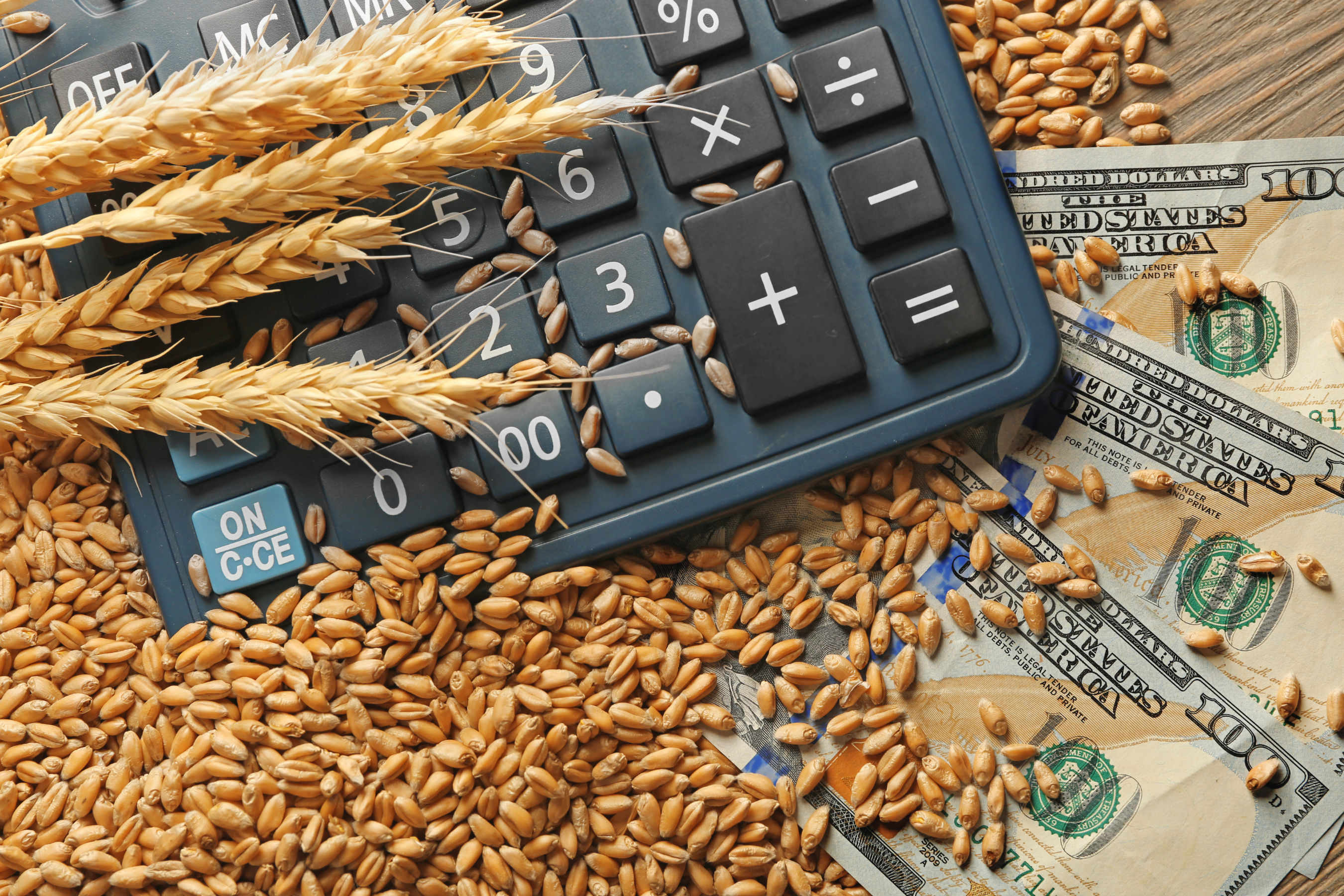 Russia Escalates War on Ukraine's Grain Exports: Why Owning a Grain Mill is Crucial