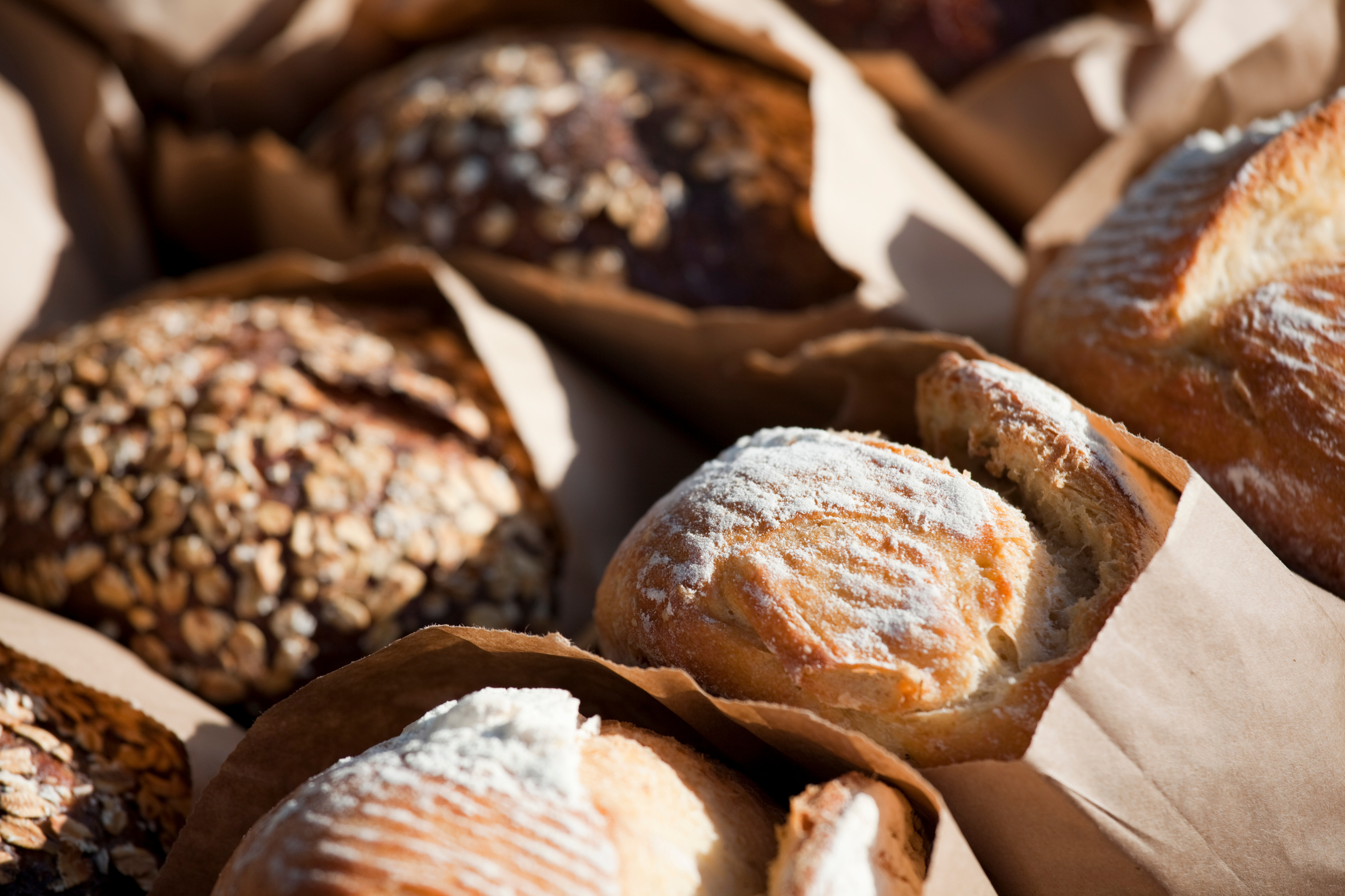 September Harvest: Seasonal Baking with NutriMill and Freshly Milled Flour