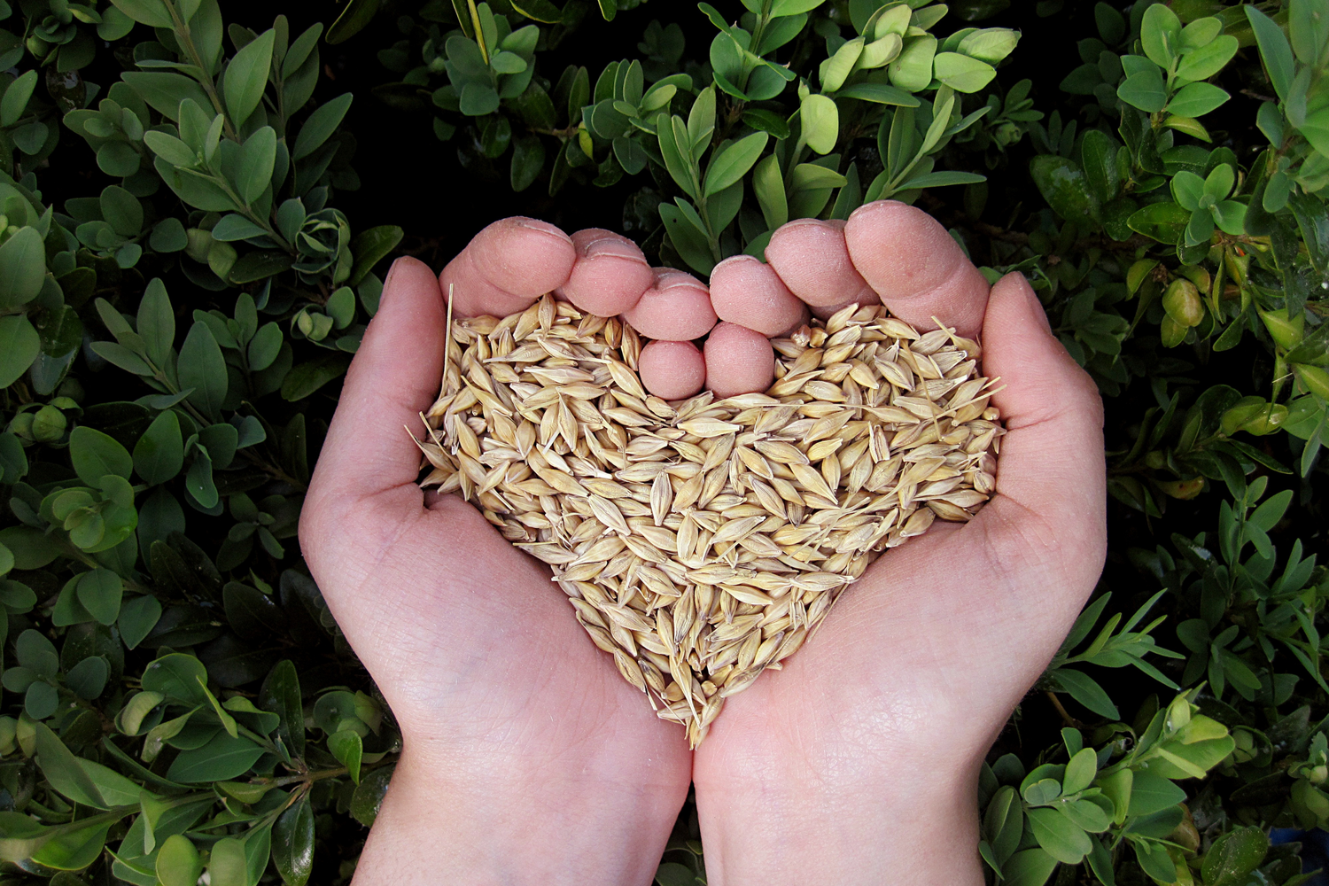 The Grain Revolution with NutriMill