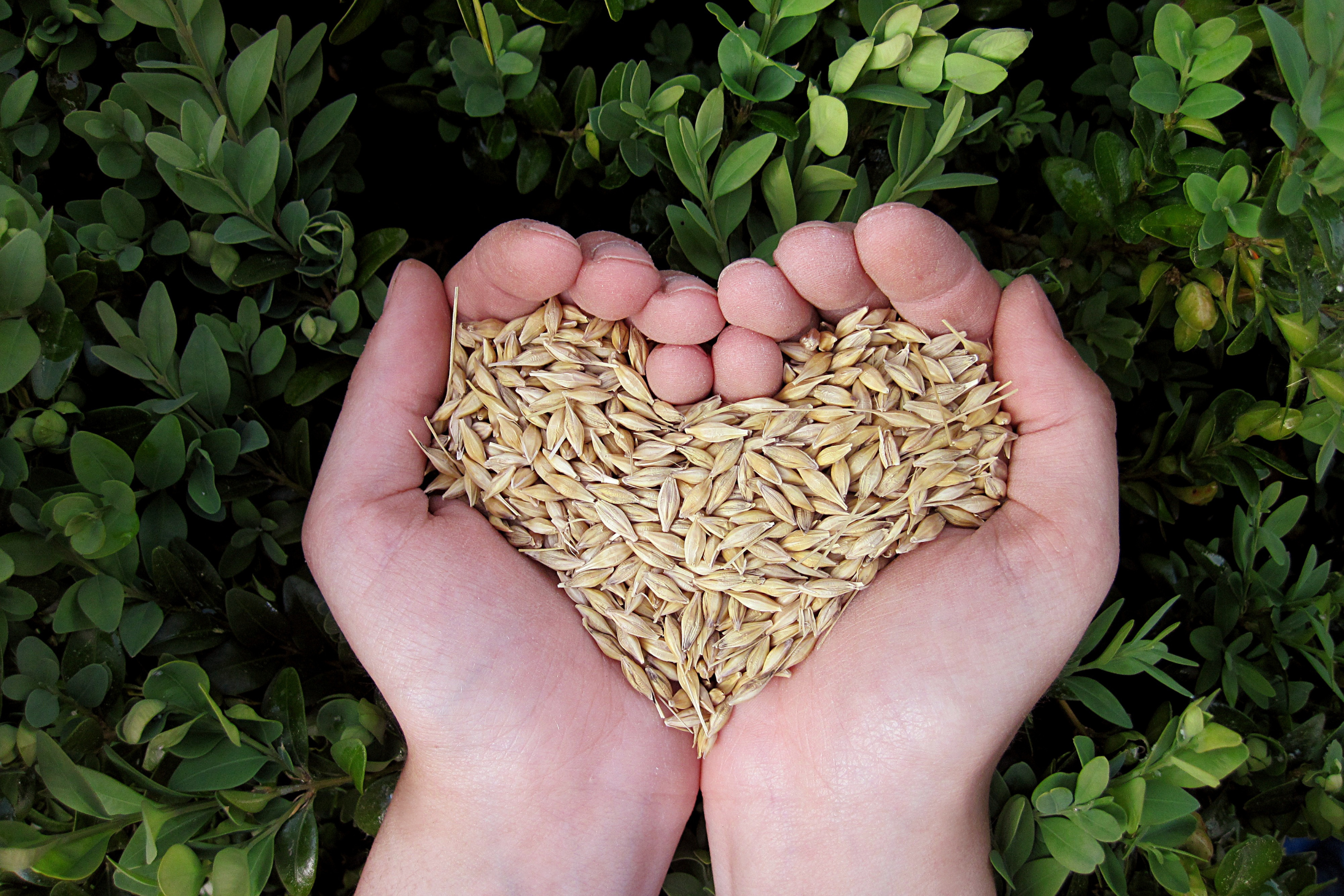 The Grain Revolution with NutriMill