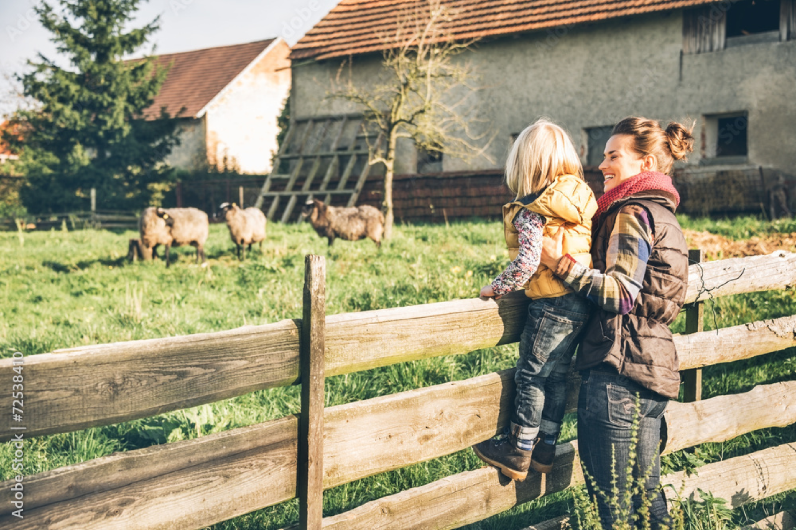 The Rise of Modern Homesteading: How NutriMill is Revolutionizing the Baking Industry