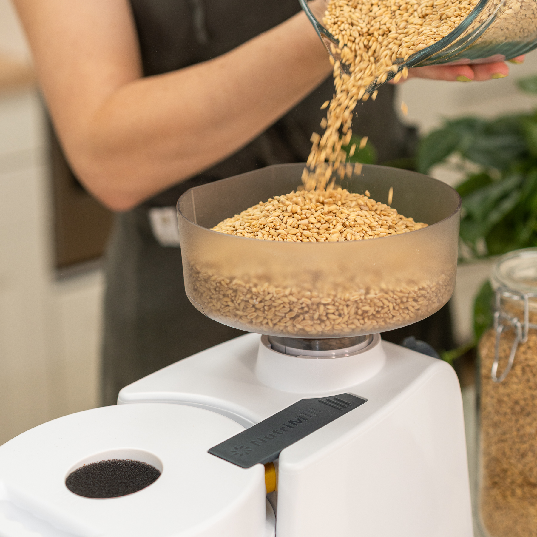 Home Grain Milling 101: A Beginner's Guide to Fresh Flour at Home