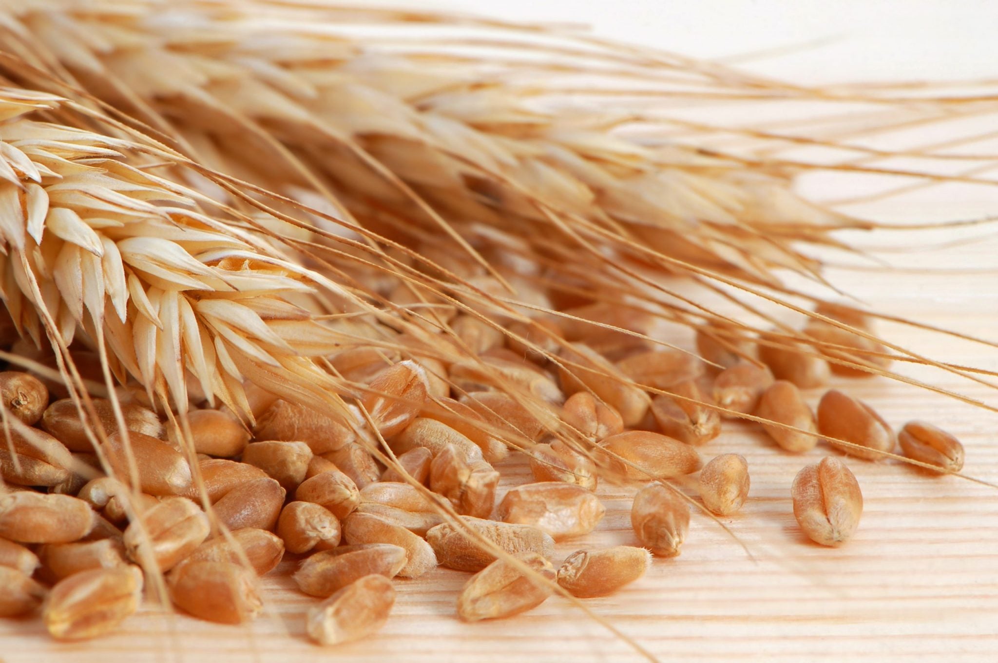 Wheat Berries
