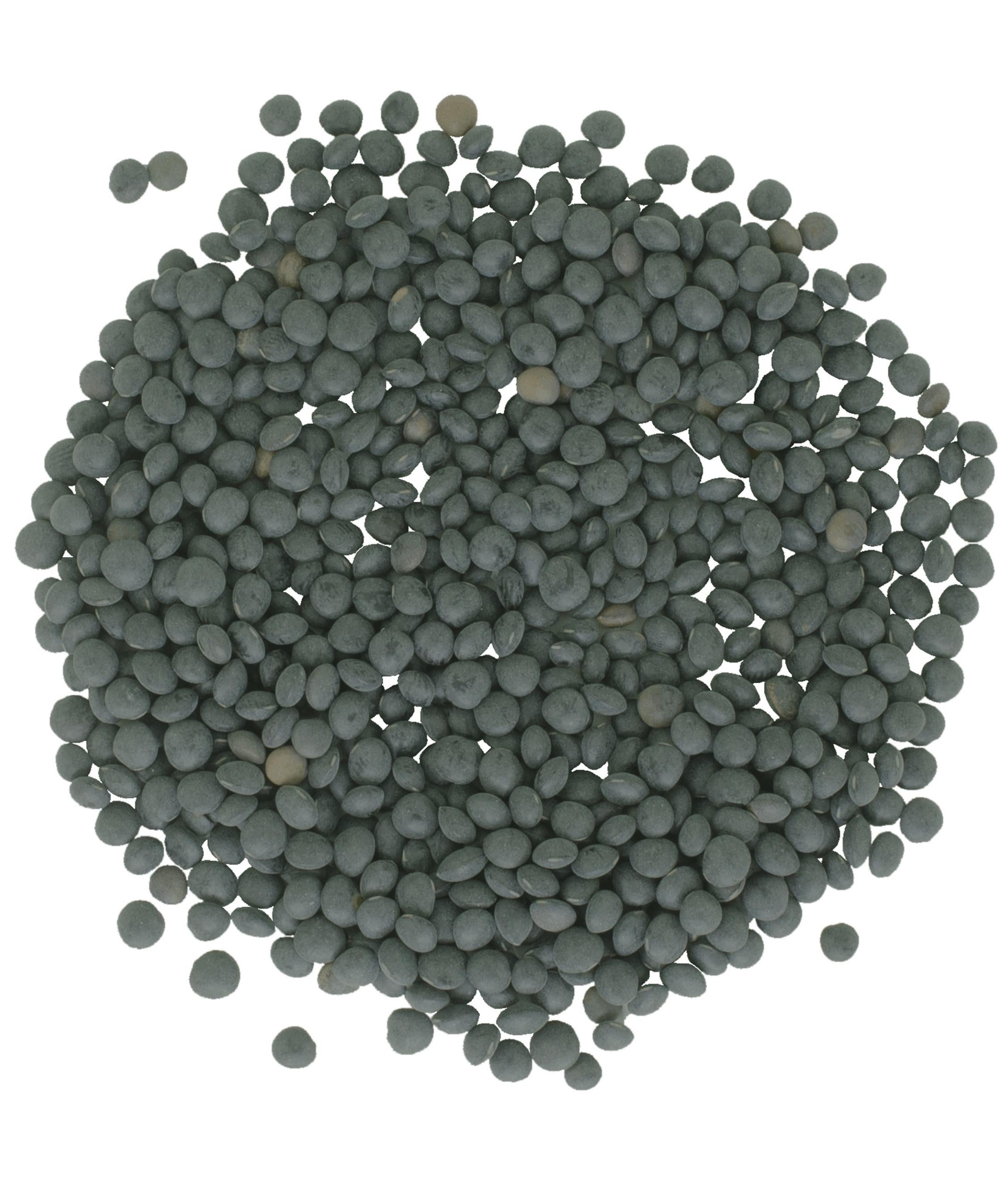 Beluga Lentils - 25 lb Bag