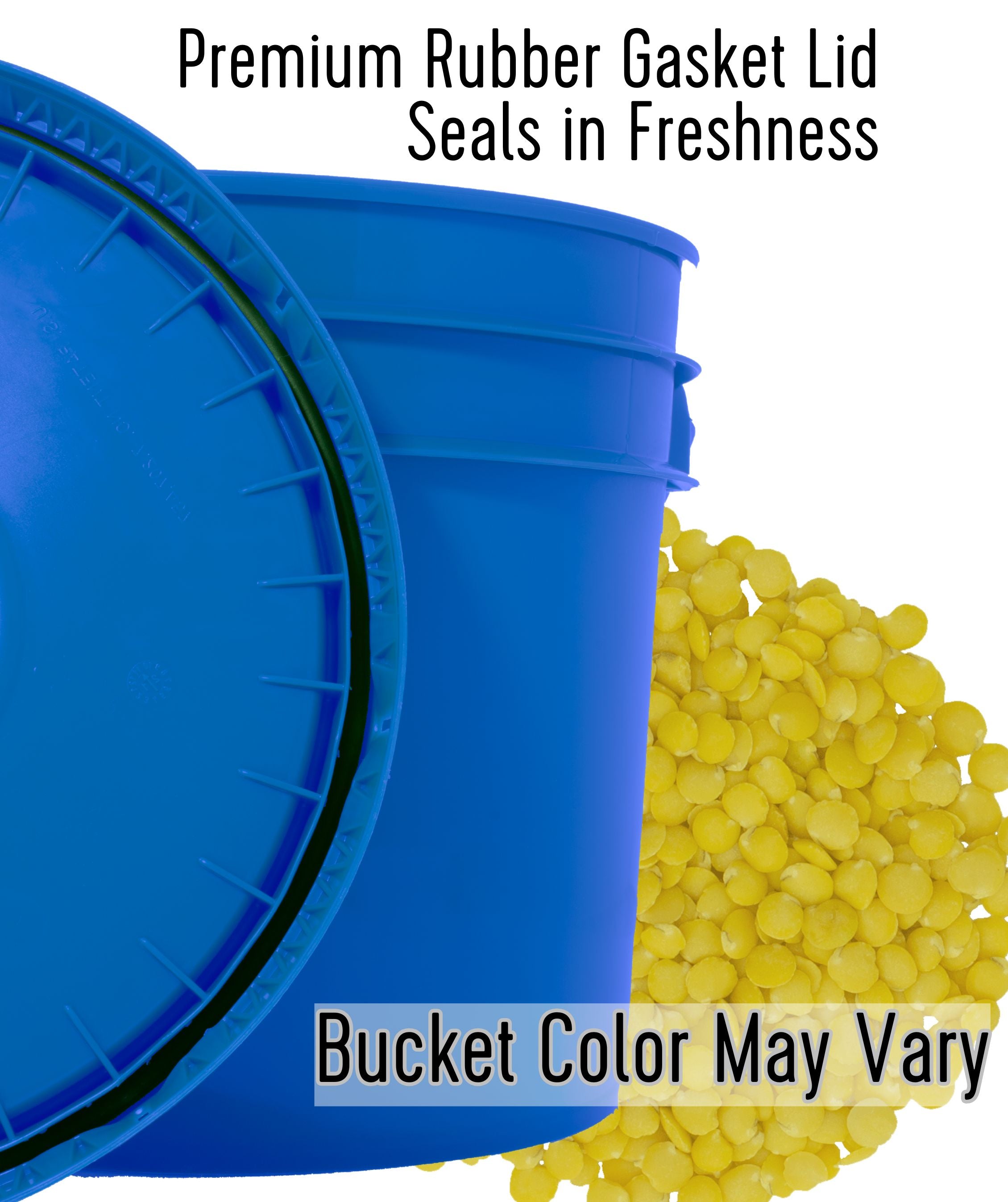 Golden Lentils - 25 lb Bucket