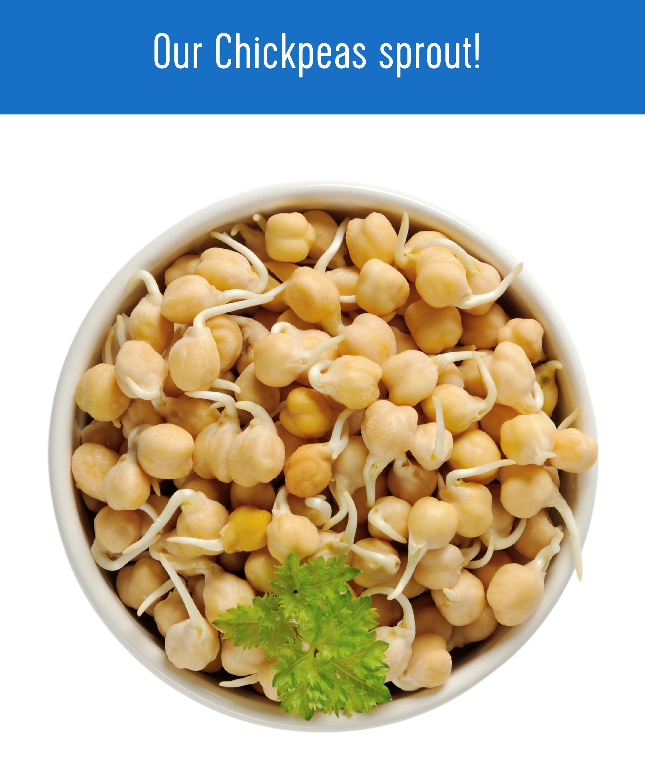Chickpeas - 25 lb Bucket
