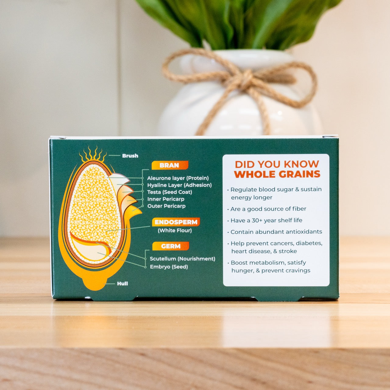 Whole Grain Nutrition Display