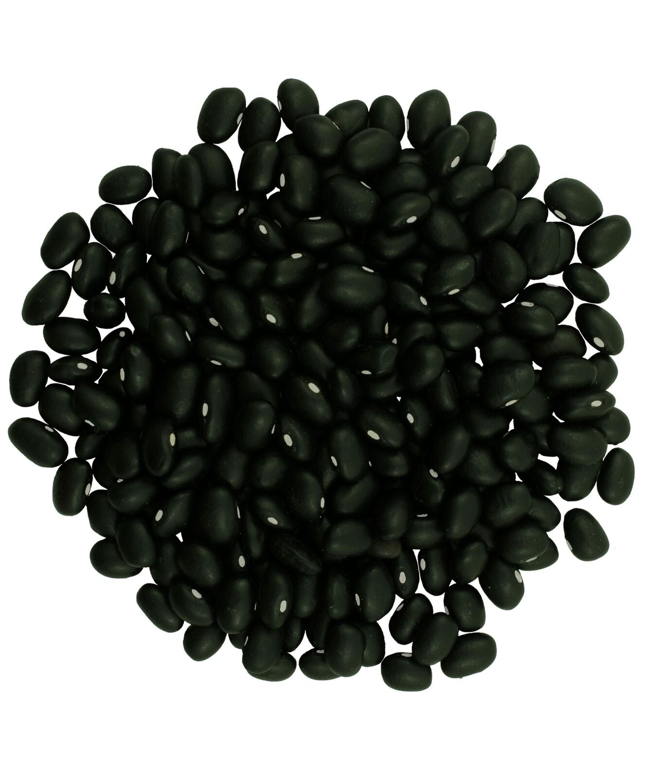 Close-up of Clear Creek black beans on a white background