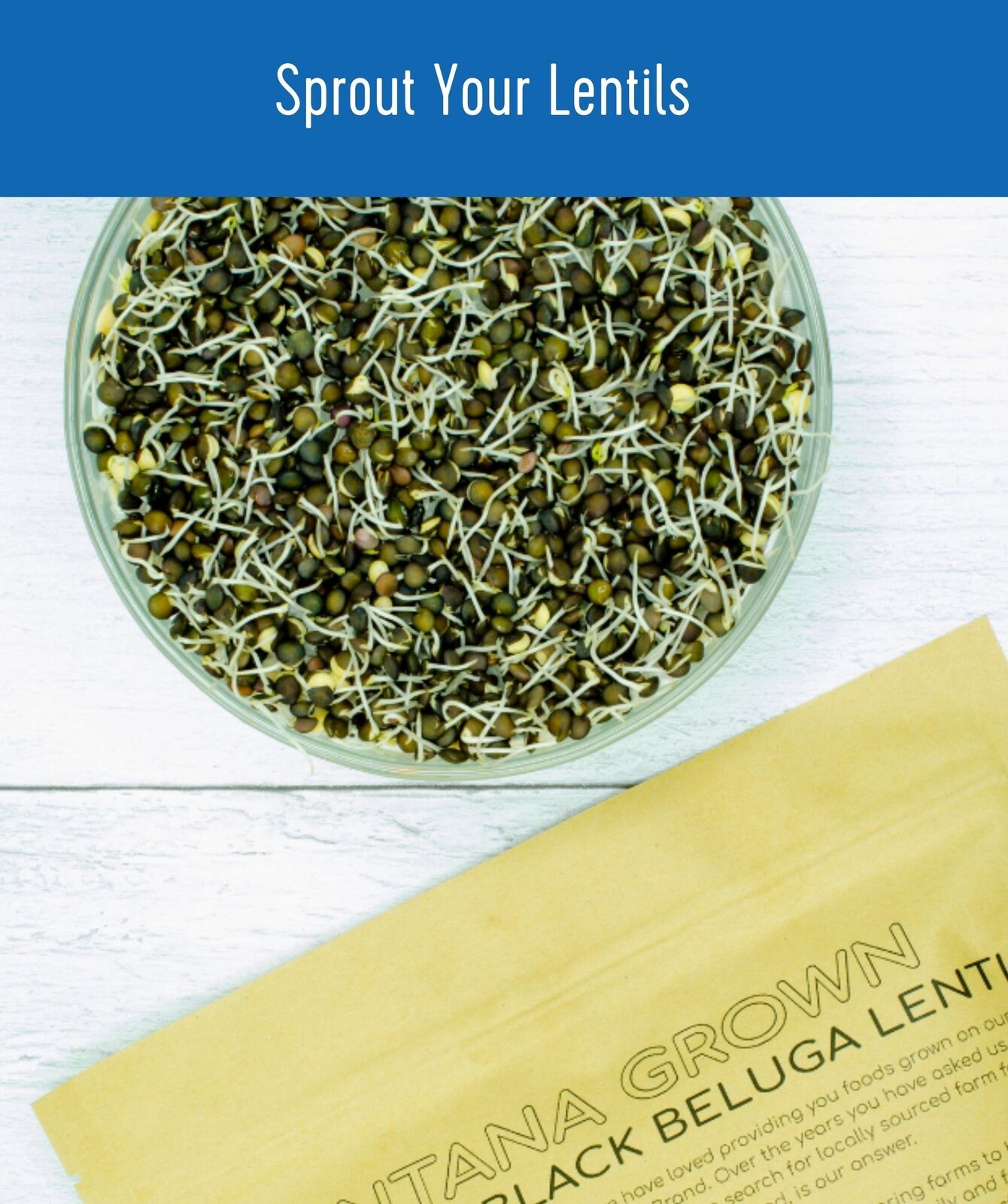 Clear Creek 'Sprout Your Lentils' card showing a bowl of sprouted black beluga lentils