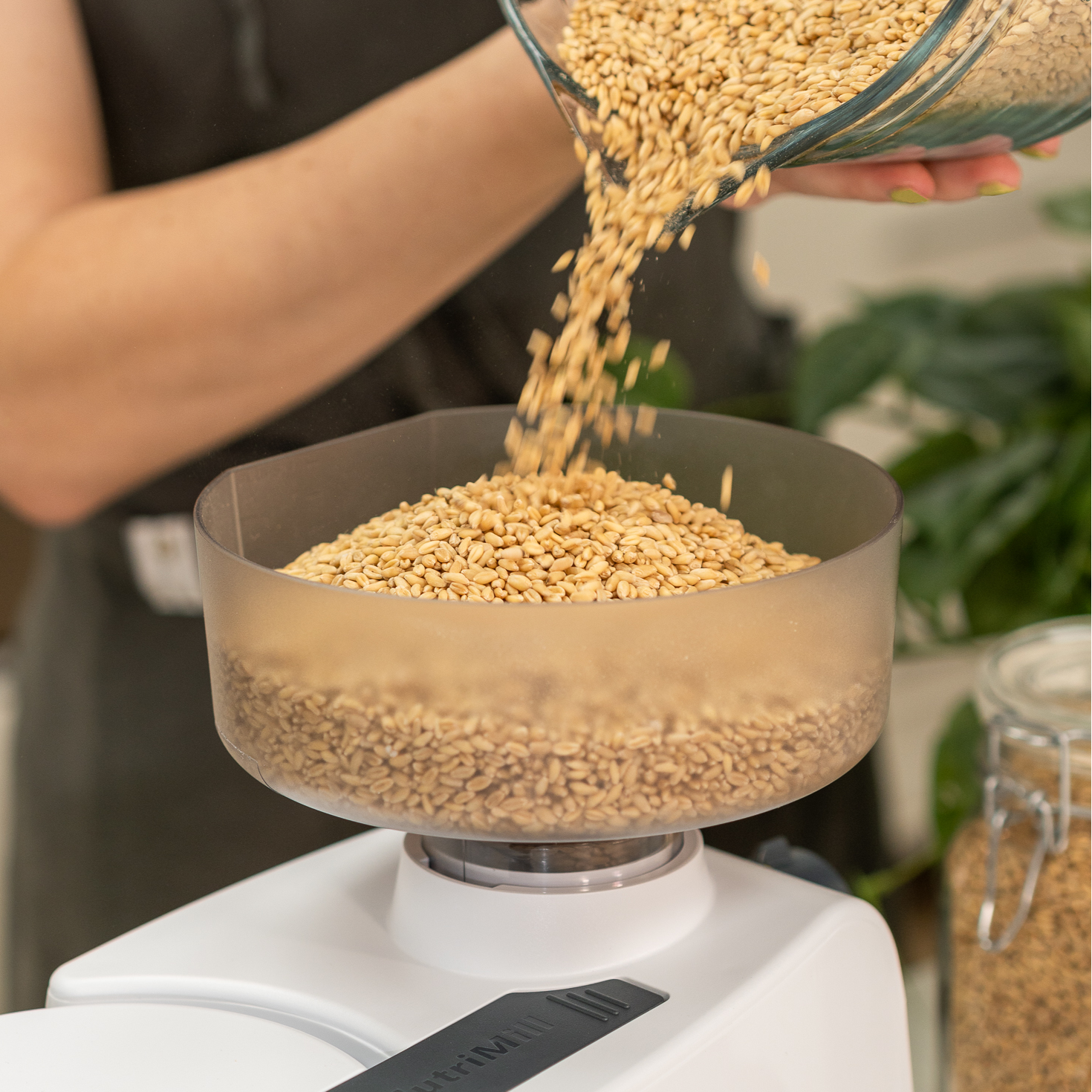 Person pouring grains into a Impact Grain mill appliance with a clear container of grains in the background.