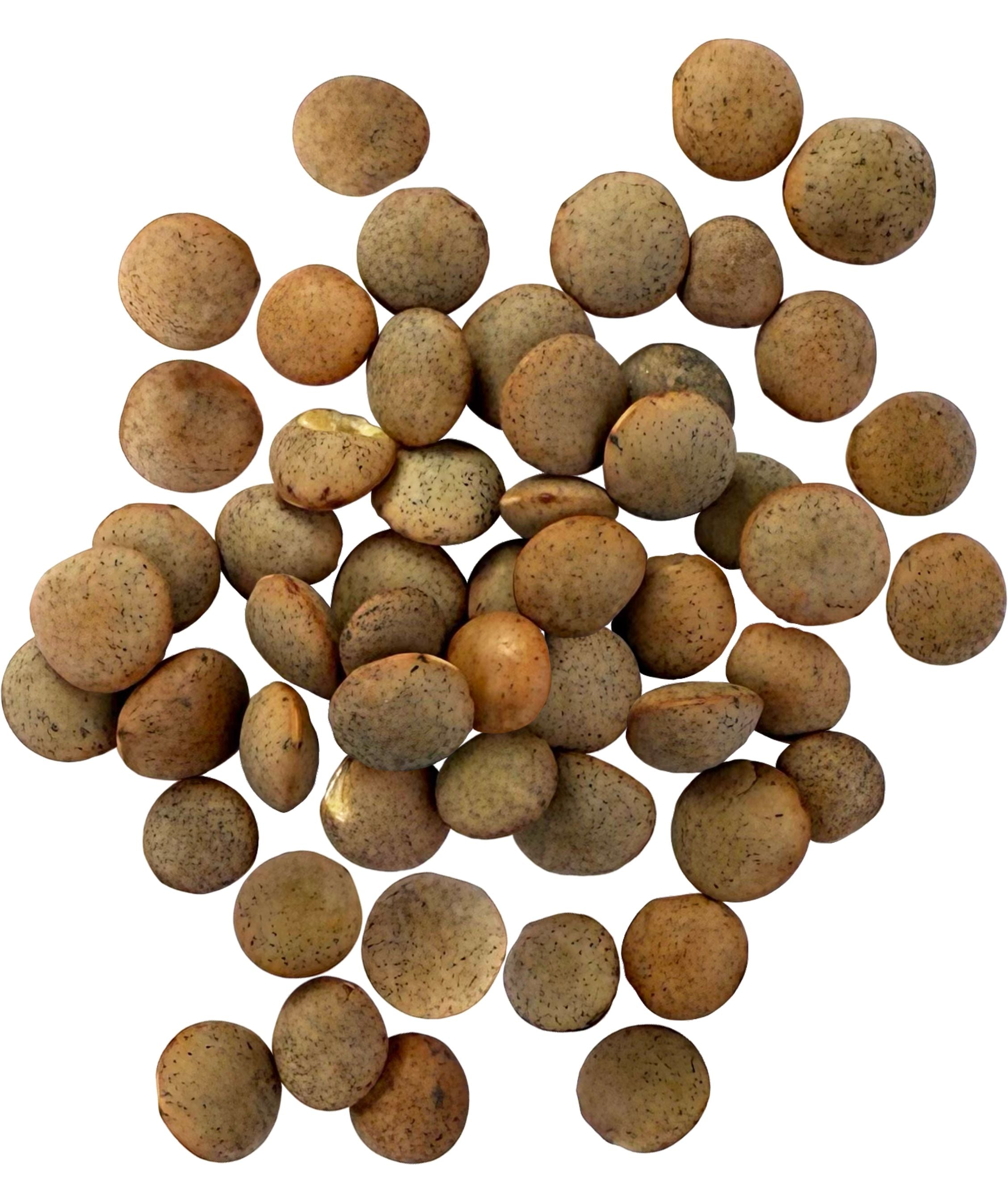 Pile of dried Palouse Brand brown lentils on a white background