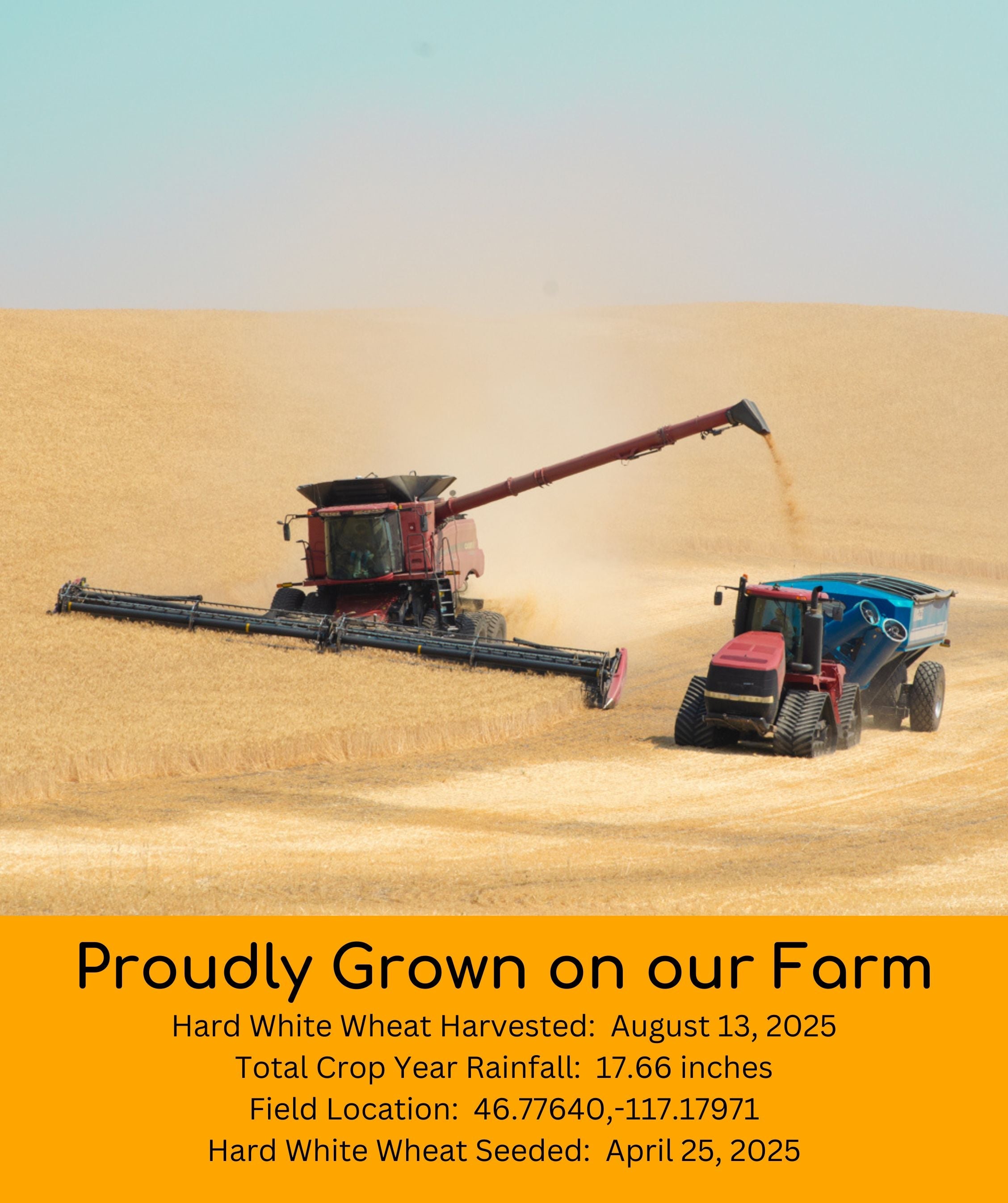 Combine and chaser truck unloading Palouse Brand Hard White Wheat in the field with text 'Proudly Grown on our Farm' listing harvest date, rainfall, and field location