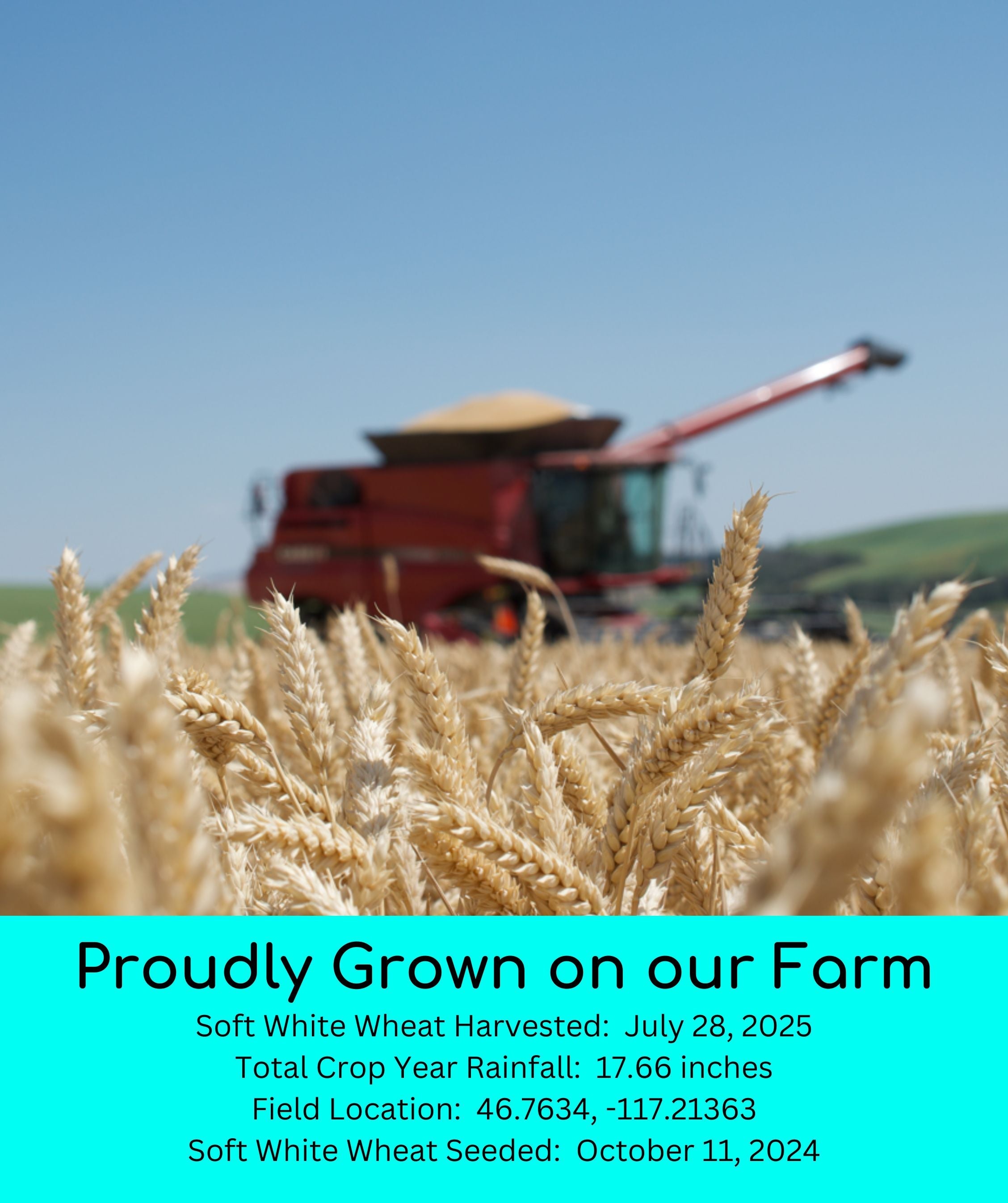 Combine harvesting golden Palouse Brand Soft White Wheat in the field with text 'Proudly Grown on our Farm' listing harvest date, rainfall, and field location