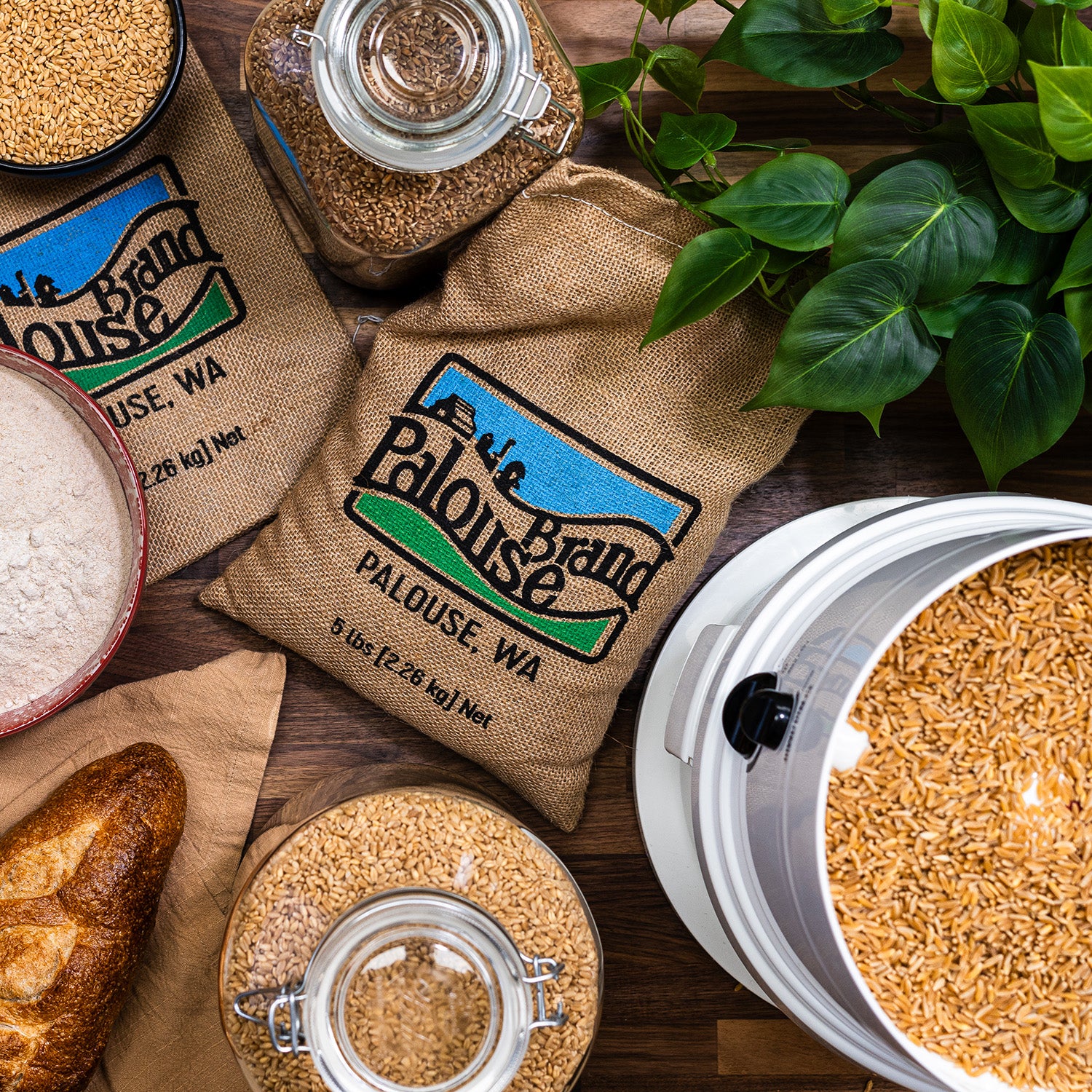 Soft White Wheat - 3 lb