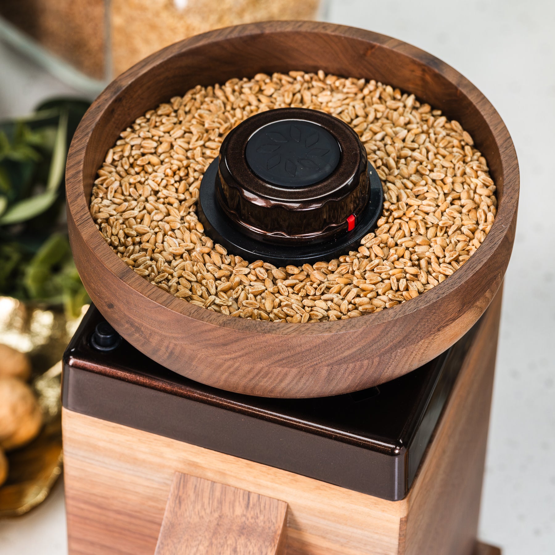Close up of NutriMill Harvest walnut grain mill with cocoa-colored trim and knob with grains in its bowl