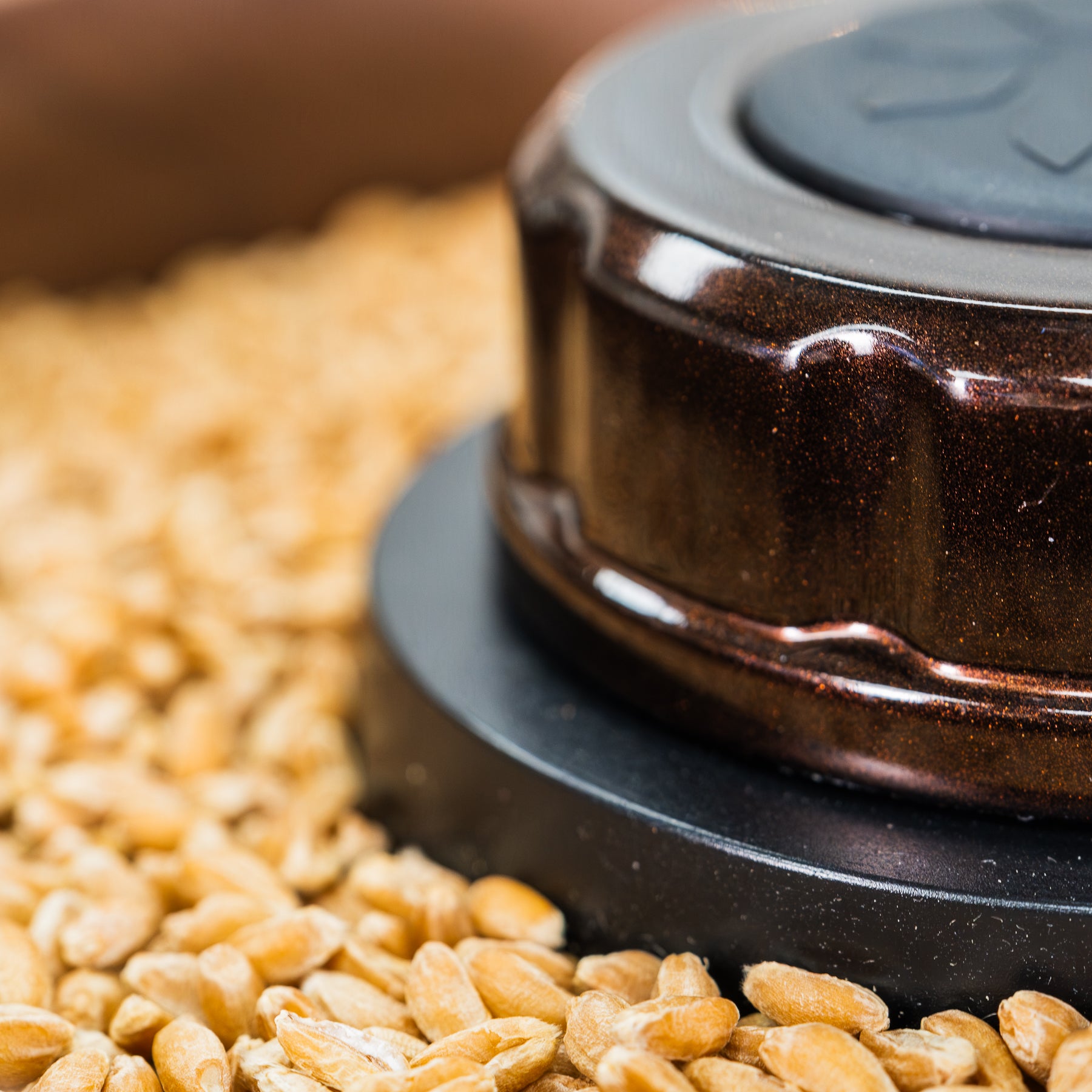 Close up of cocoa-colored knob of NutriMill Harvest walnut grain mill with grains next to it
