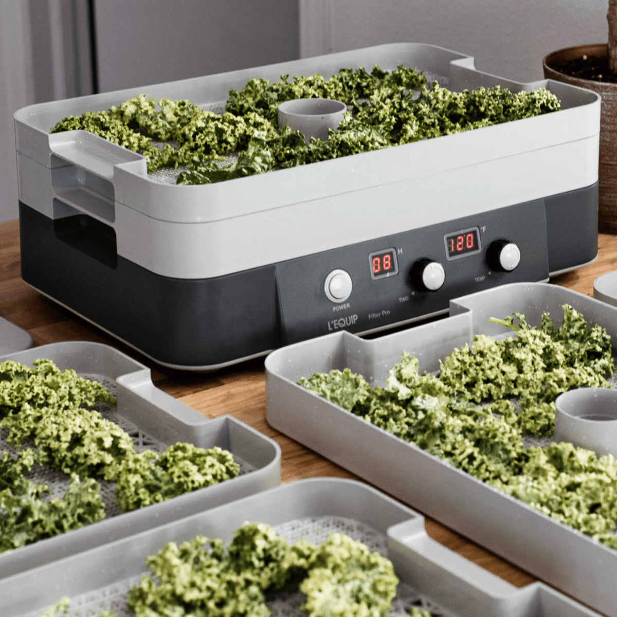 FilterPro Food Dehydrator