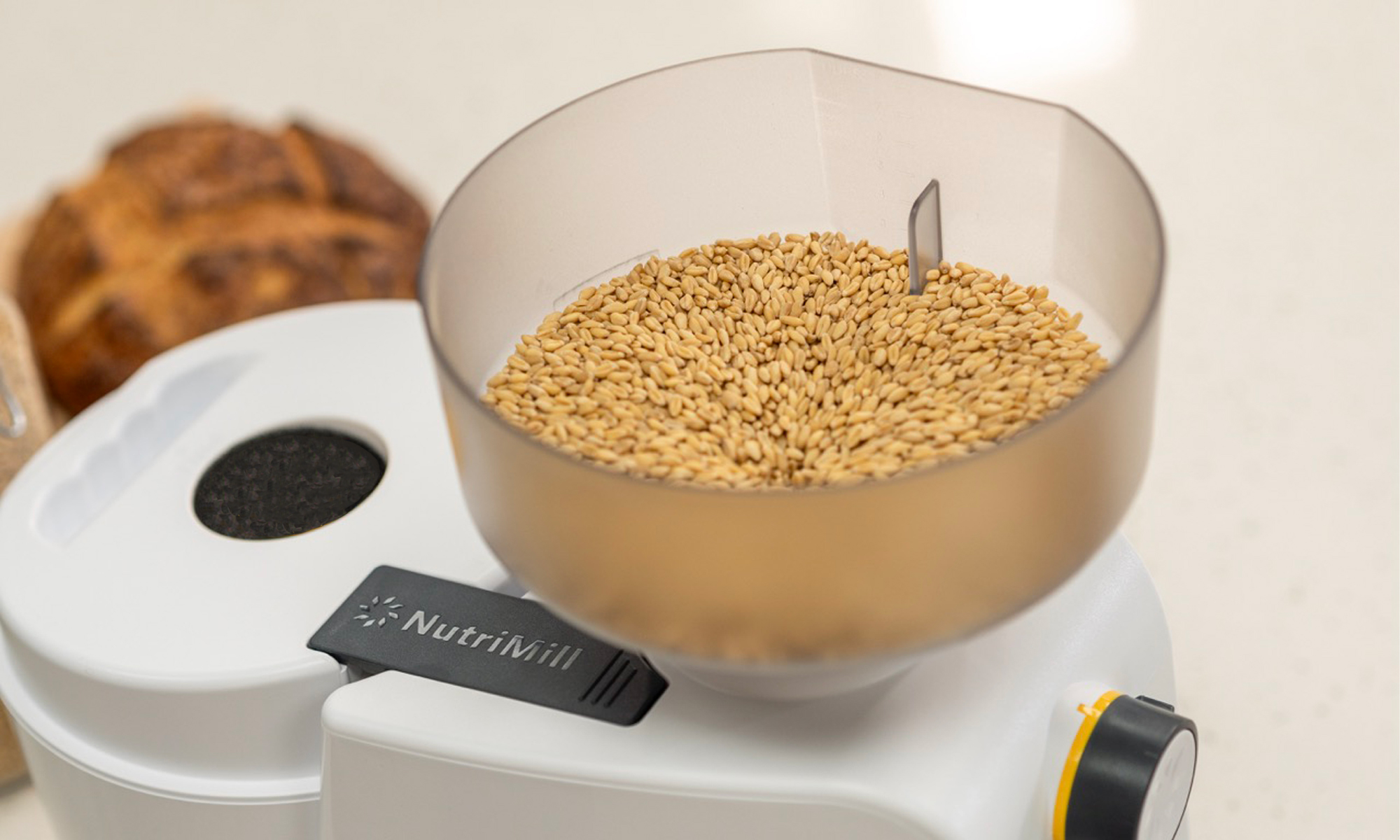 Comparison: Freshly Home-Milled vs. Store-Bought Flour