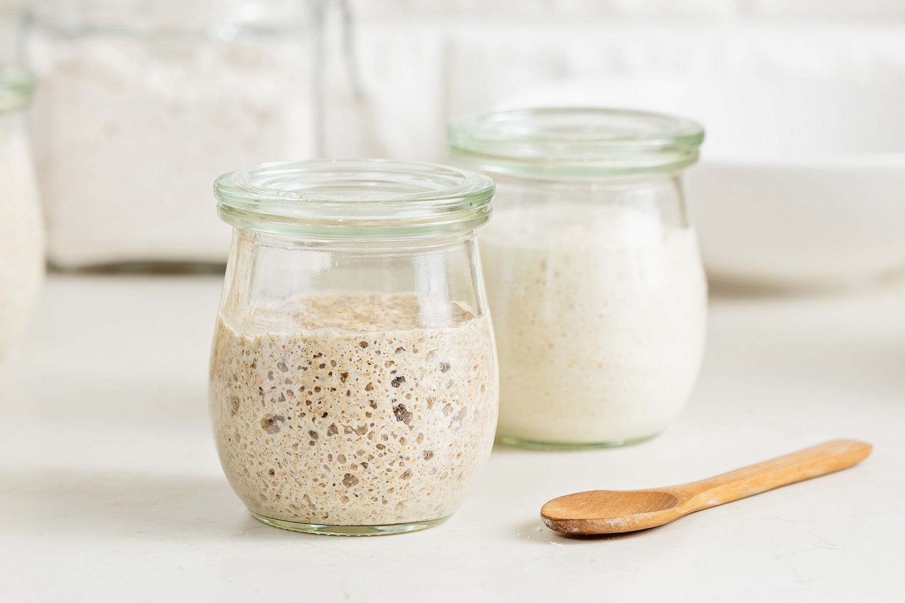 Sourdough Starter