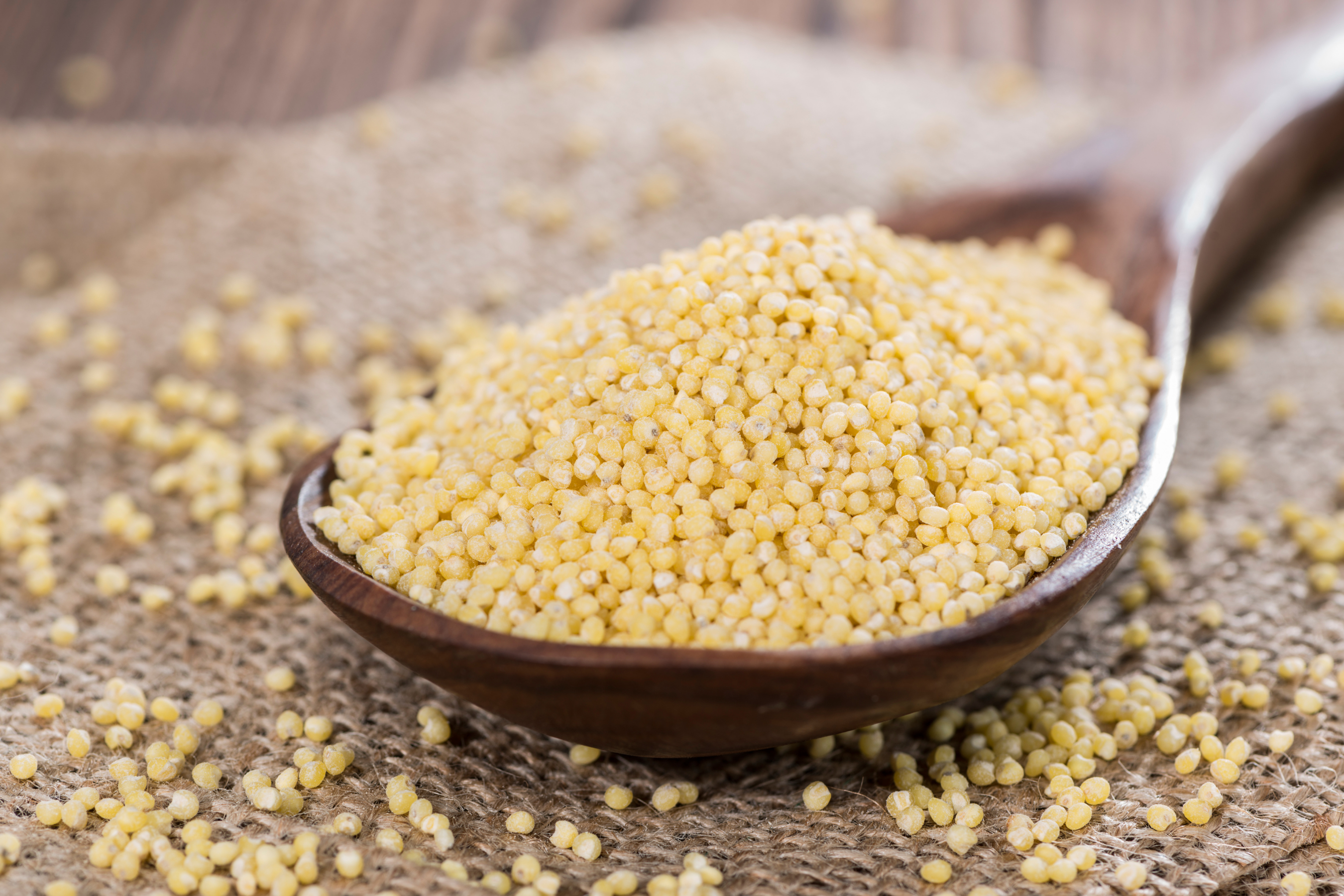 The Benefits of Millet Grain and Flour