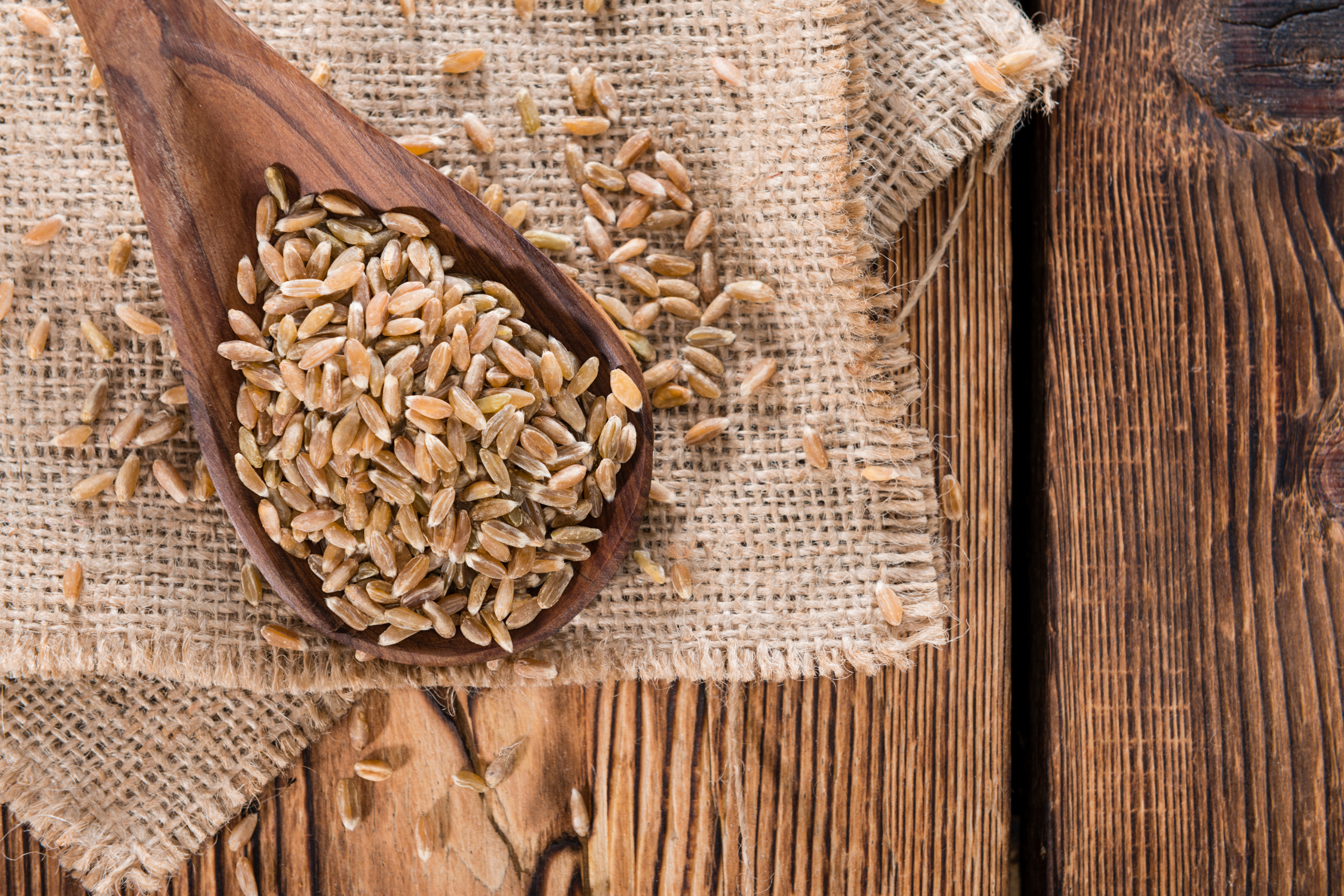 The Benefits of Spelt Grain and Flour