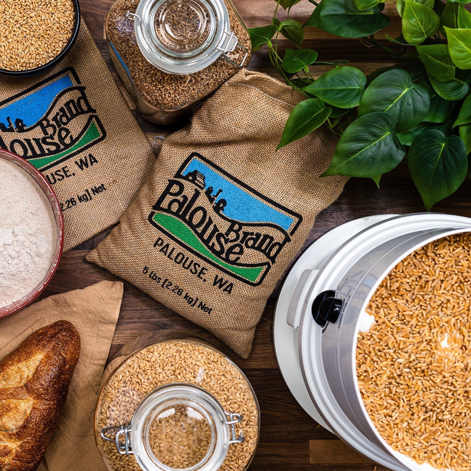nutrimill classic grain mill with palouse brand wheat berries