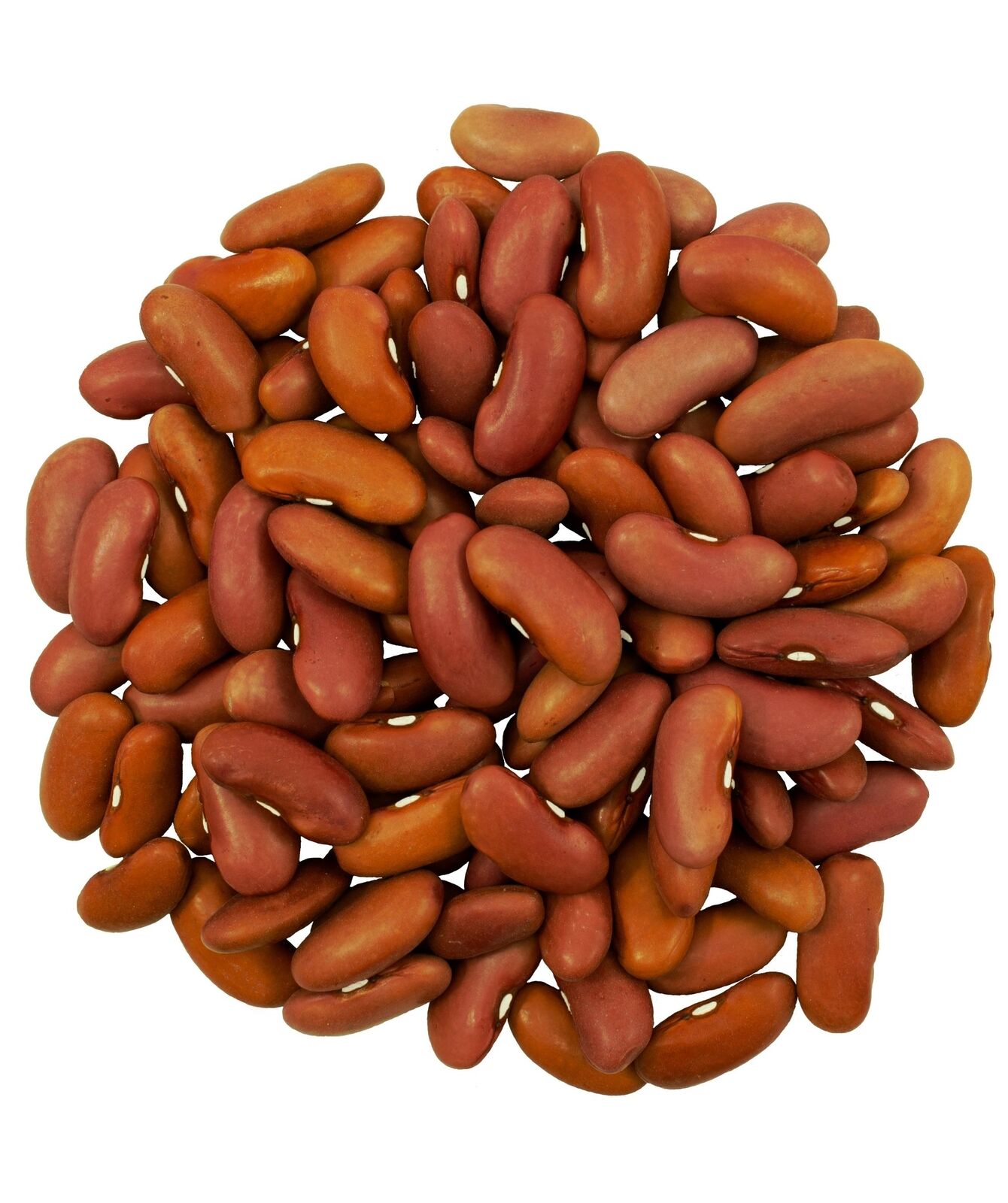 Kidney Beans | 25 LBS Bucket | Certified Glyphosate Residue Free