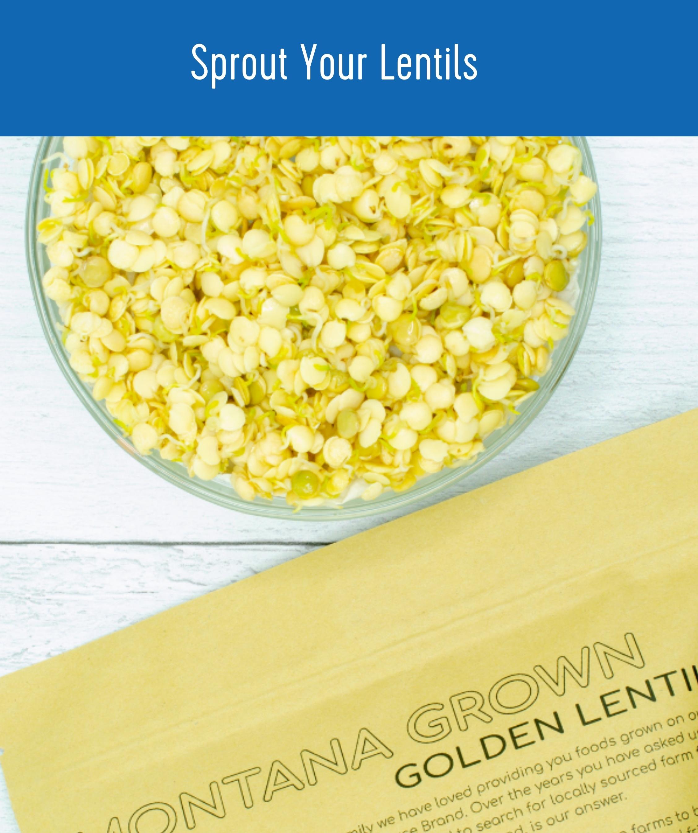 Golden Lentils | 25 LBS Bucket | Certified Glyphosate Residue Free