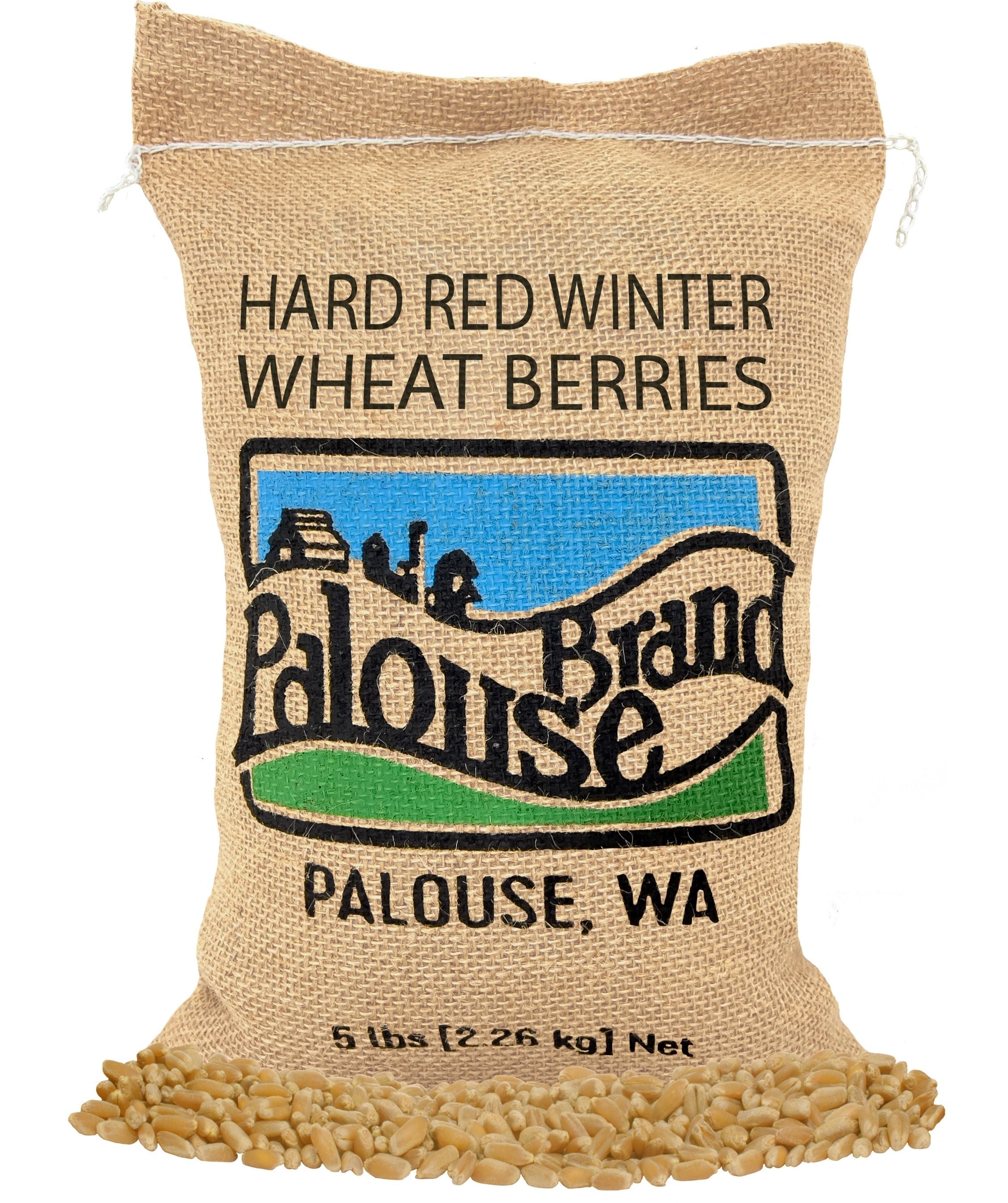 Red Winter Wheat | 5 LB | Certified Glyphosate Residue Free