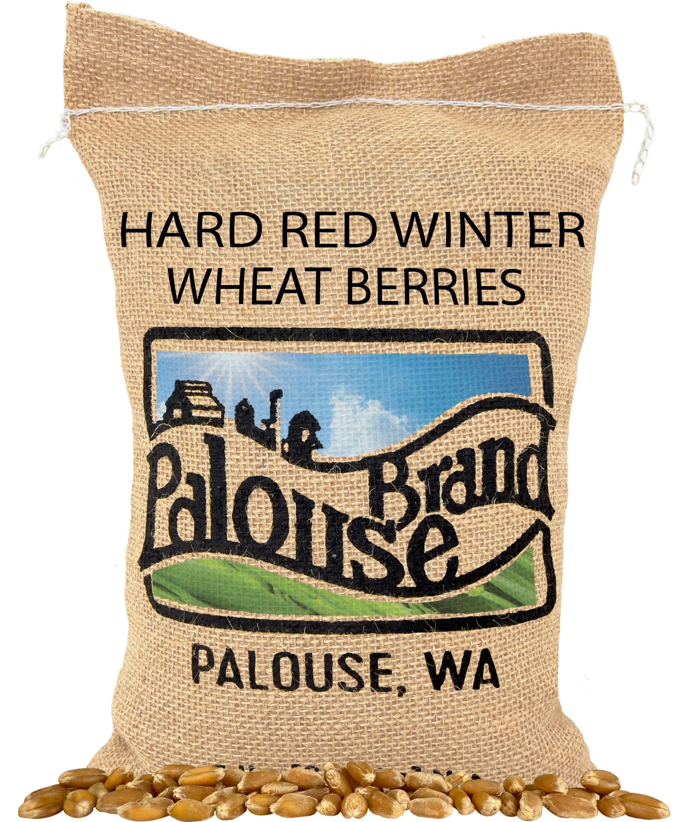 Red Winter Wheat | 5 LB | Certified Glyphosate Residue Free