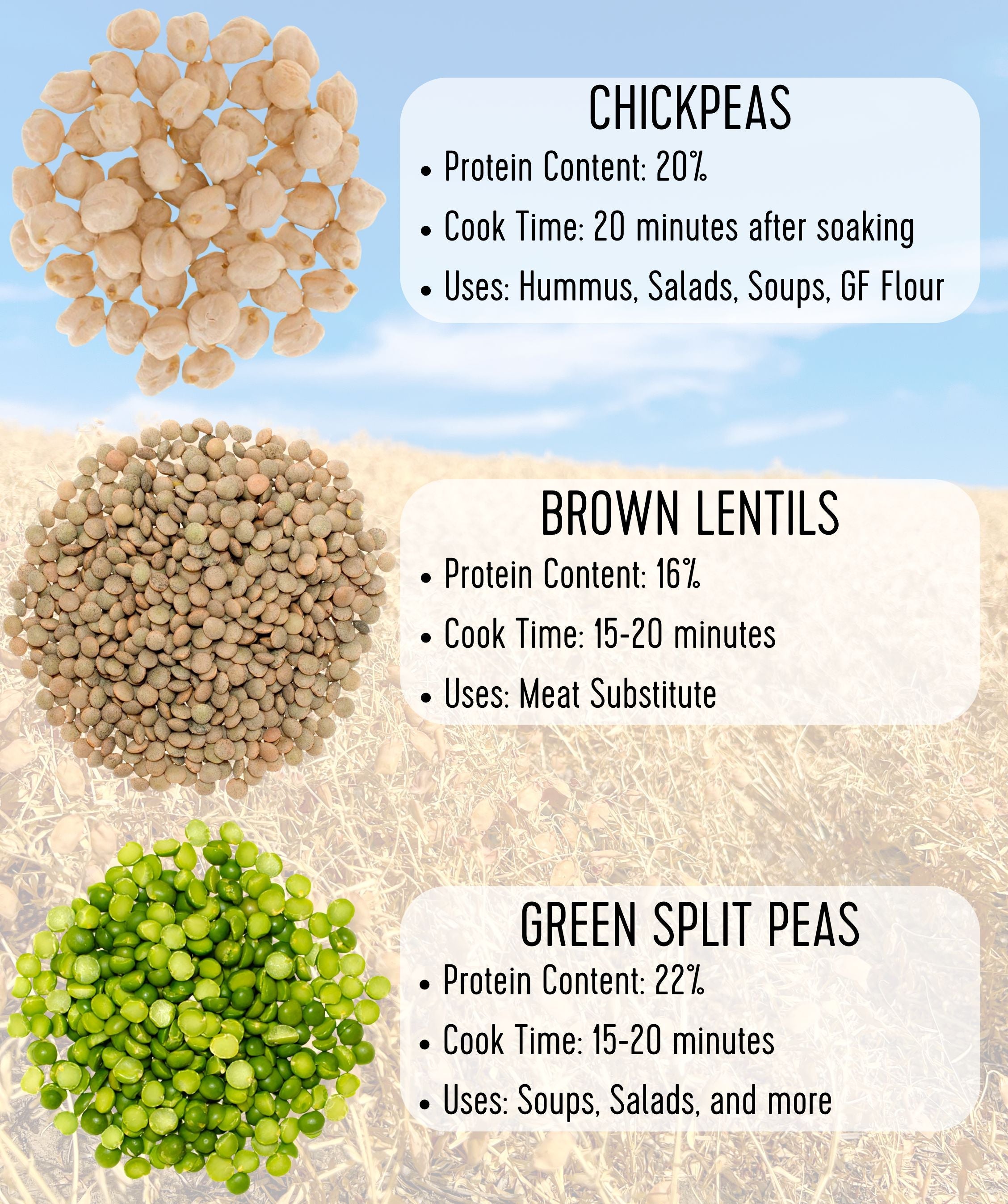 Brown Lentils | 25 LB