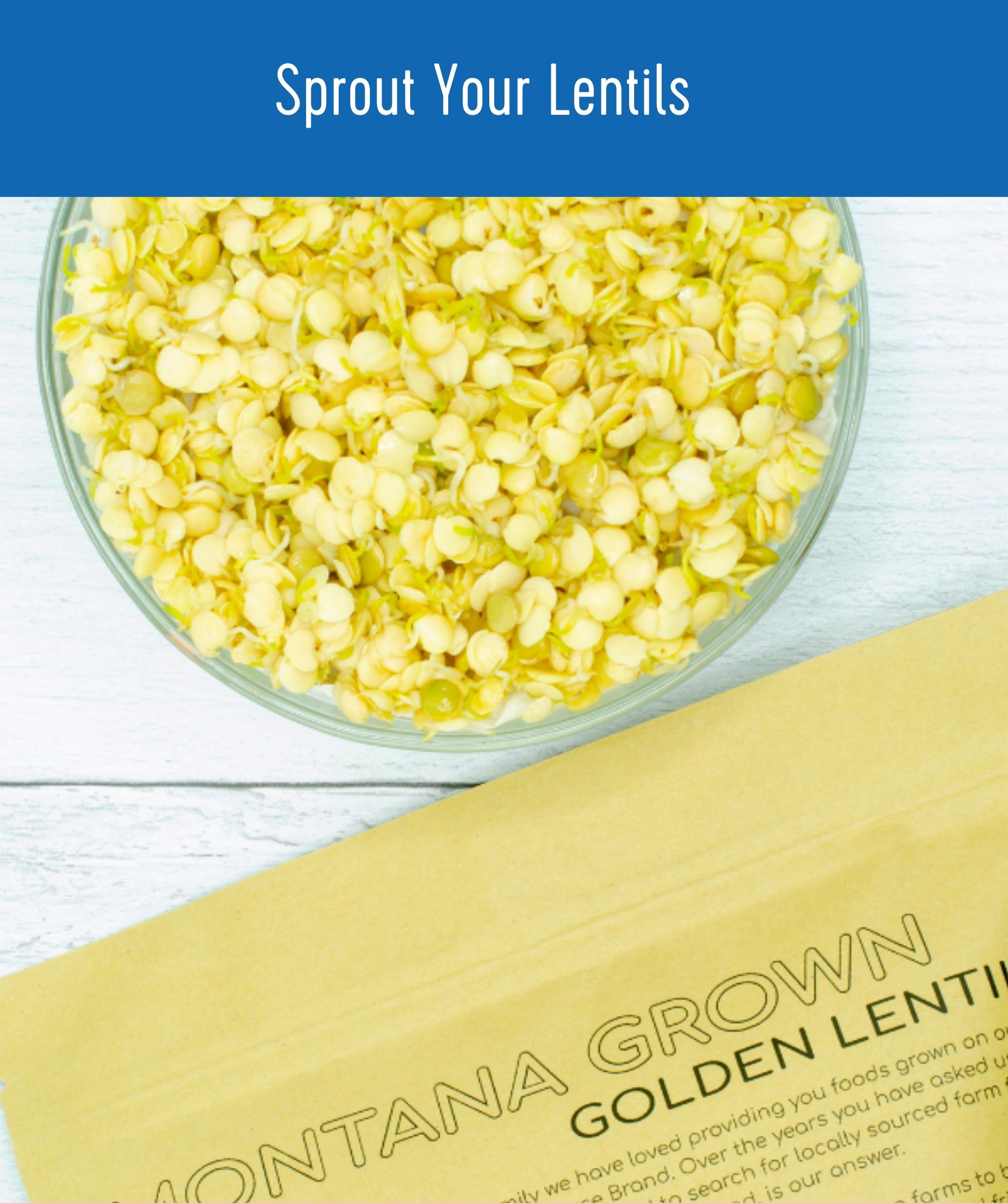 Sprouted Clear Creek Golden Lentils in a glass bowl next to a Montana-grown Golden Lentils fabric bag, with the text 'Sprout Your Lentils'