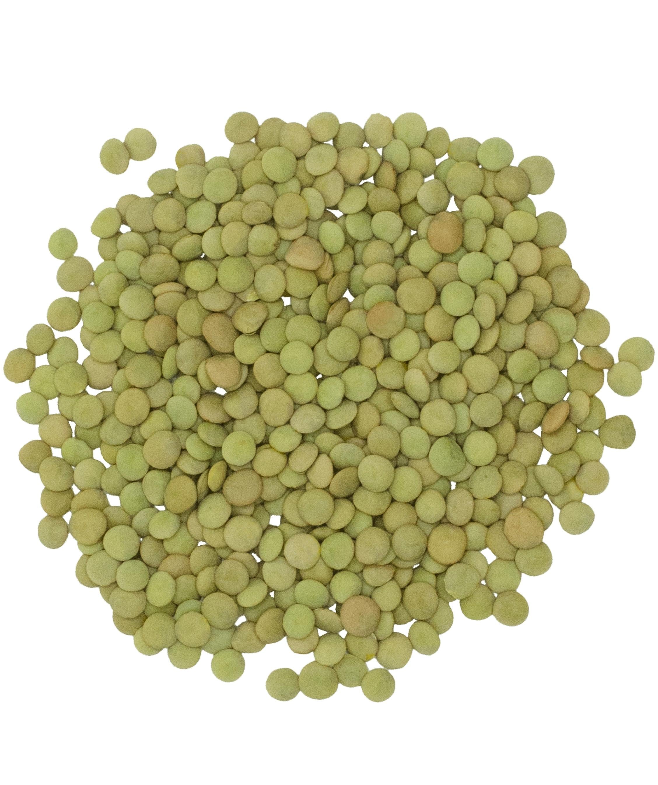 Pile of dried Clear Creek green lentils on a white background