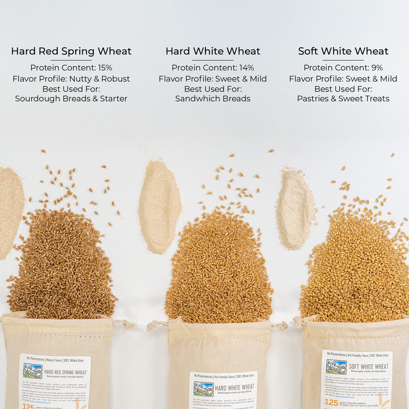 Wheat Variety Bundle | 3 Wheat Berries, Knife, Yeast