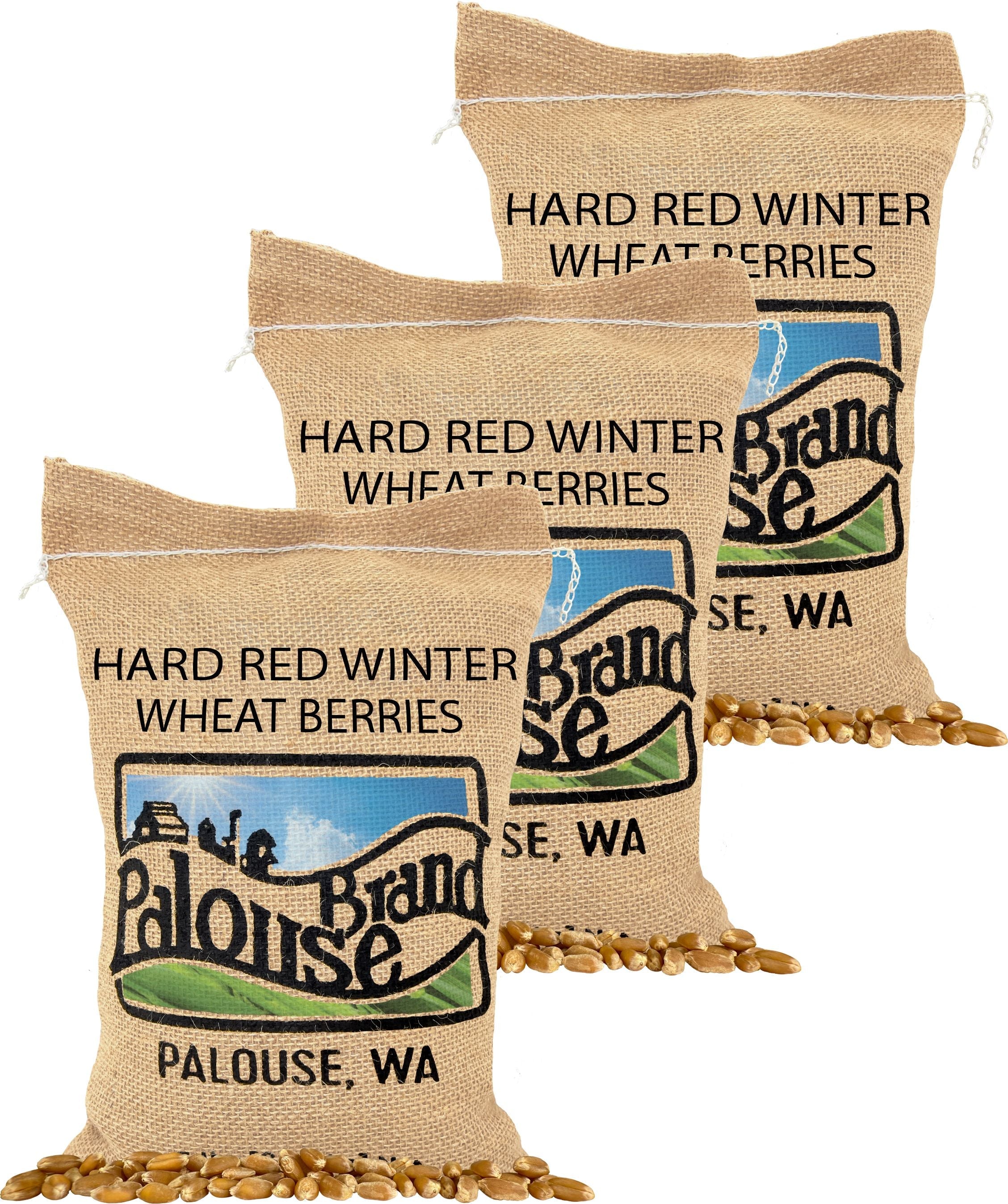 Three Palouse Brand Hard Red Winter Wheat Berries burlap bags with wheat berries on a white background