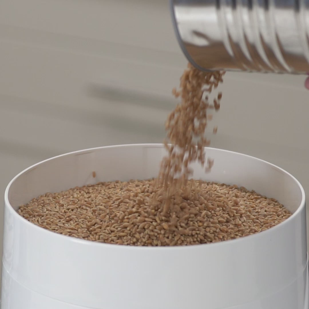 Cast Iron Hand Crank Manual Corn Grinder For Wheat Grains coffee Nut Mill  Tall Metal Hopper
