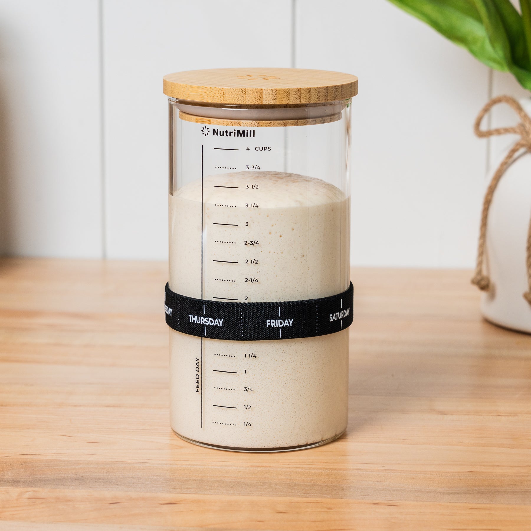 Sourdough Starter Jar - 1 Quart