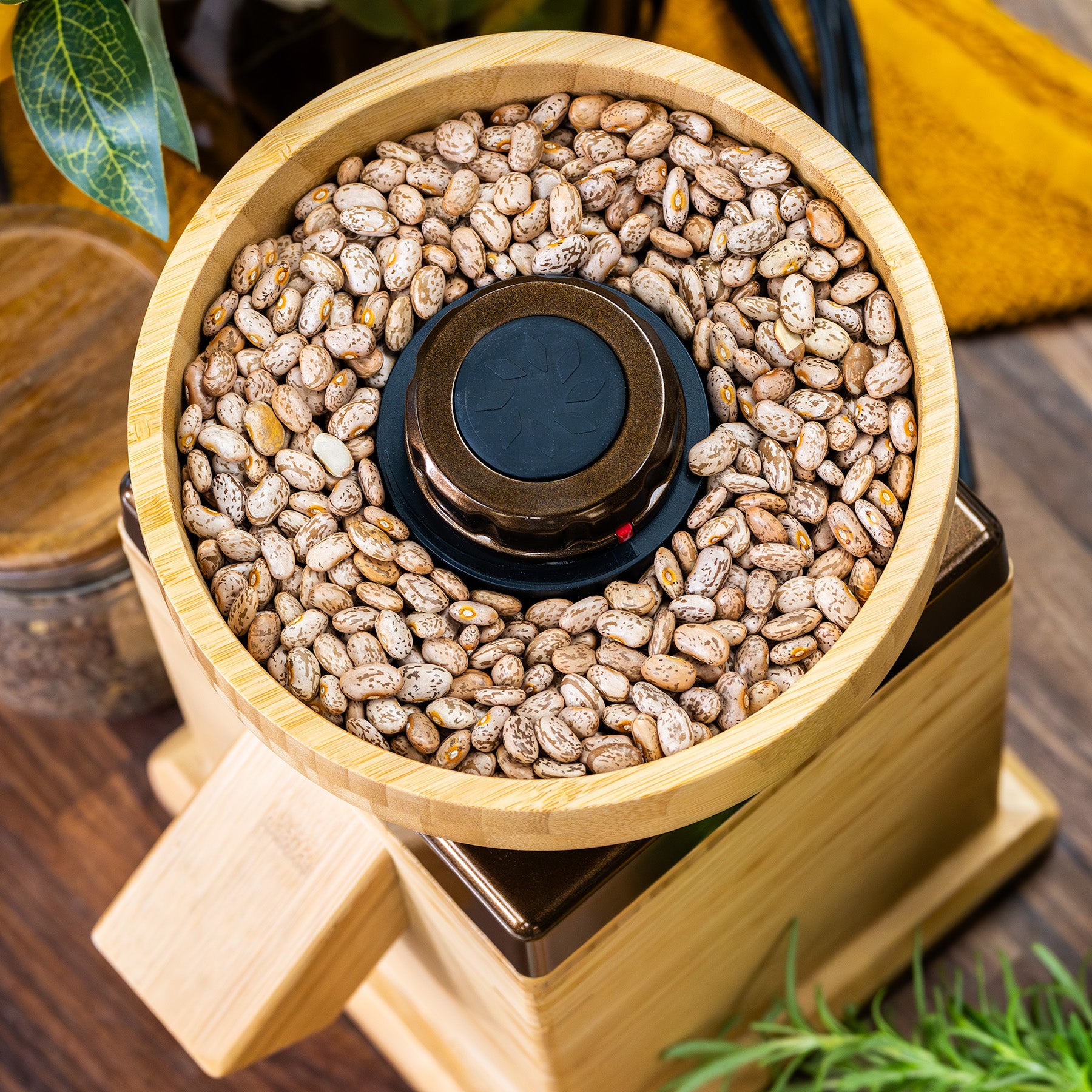 Up close view of the NutriMill harvest grain mill bronze trim milling beans on a dark wooden counter