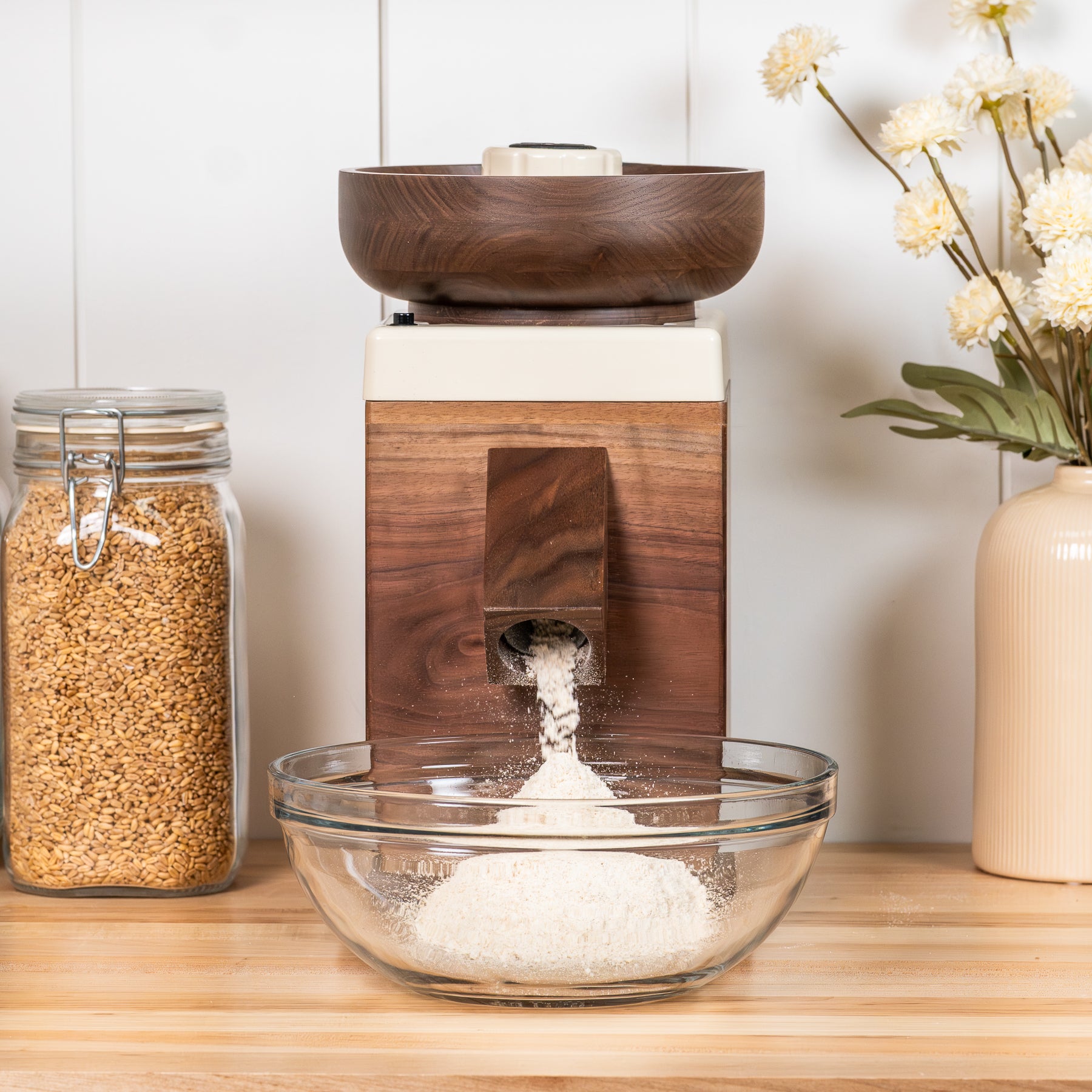 NutriMIll harvest Walnut grain mill with cream-colored trim, milling white flour into clear bowl on light wooden counter with a white wall, a jar of grains and flowers in background