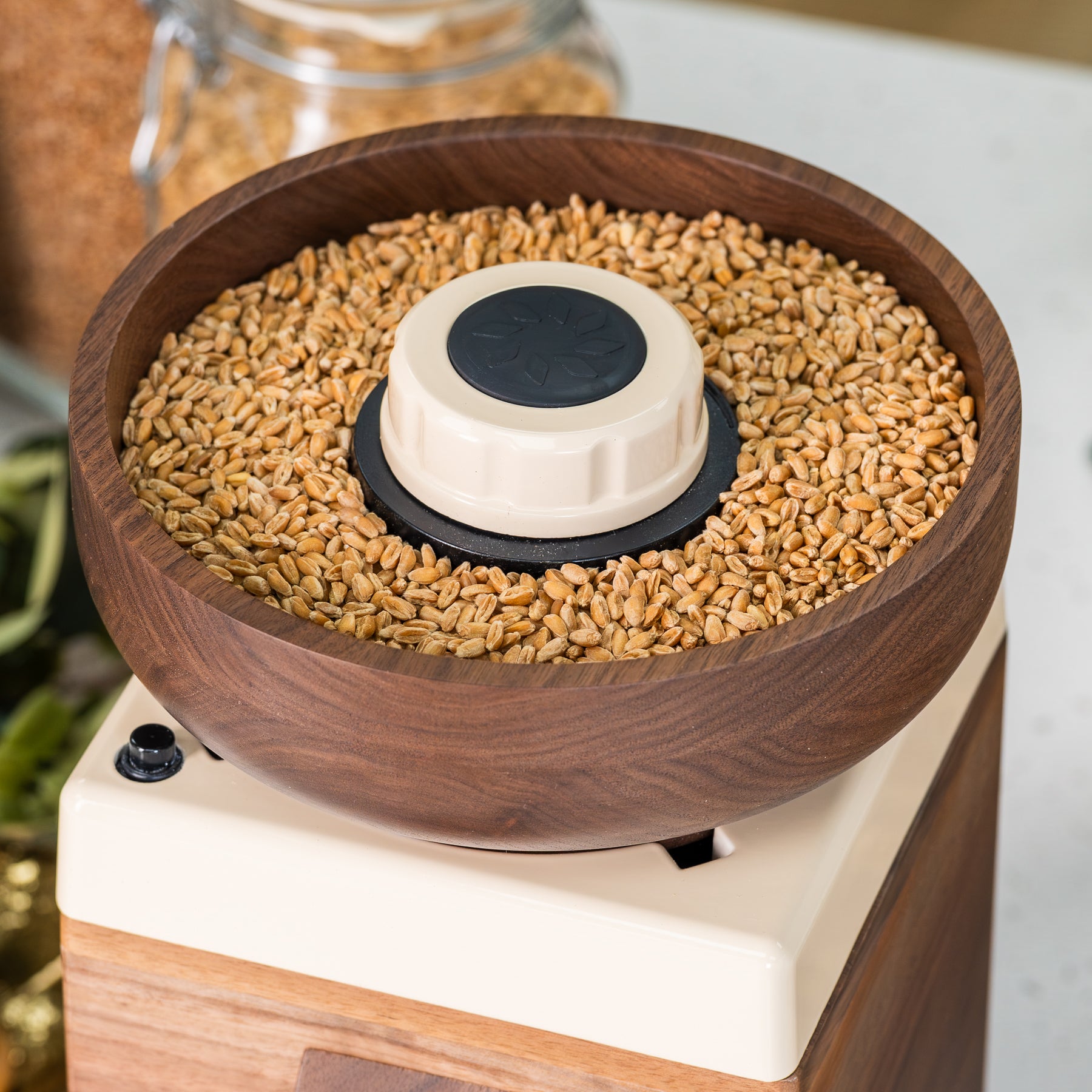 Close up of NutriMill harvest walnut grain mill with cream-colored trim and knob with grains in its bowl